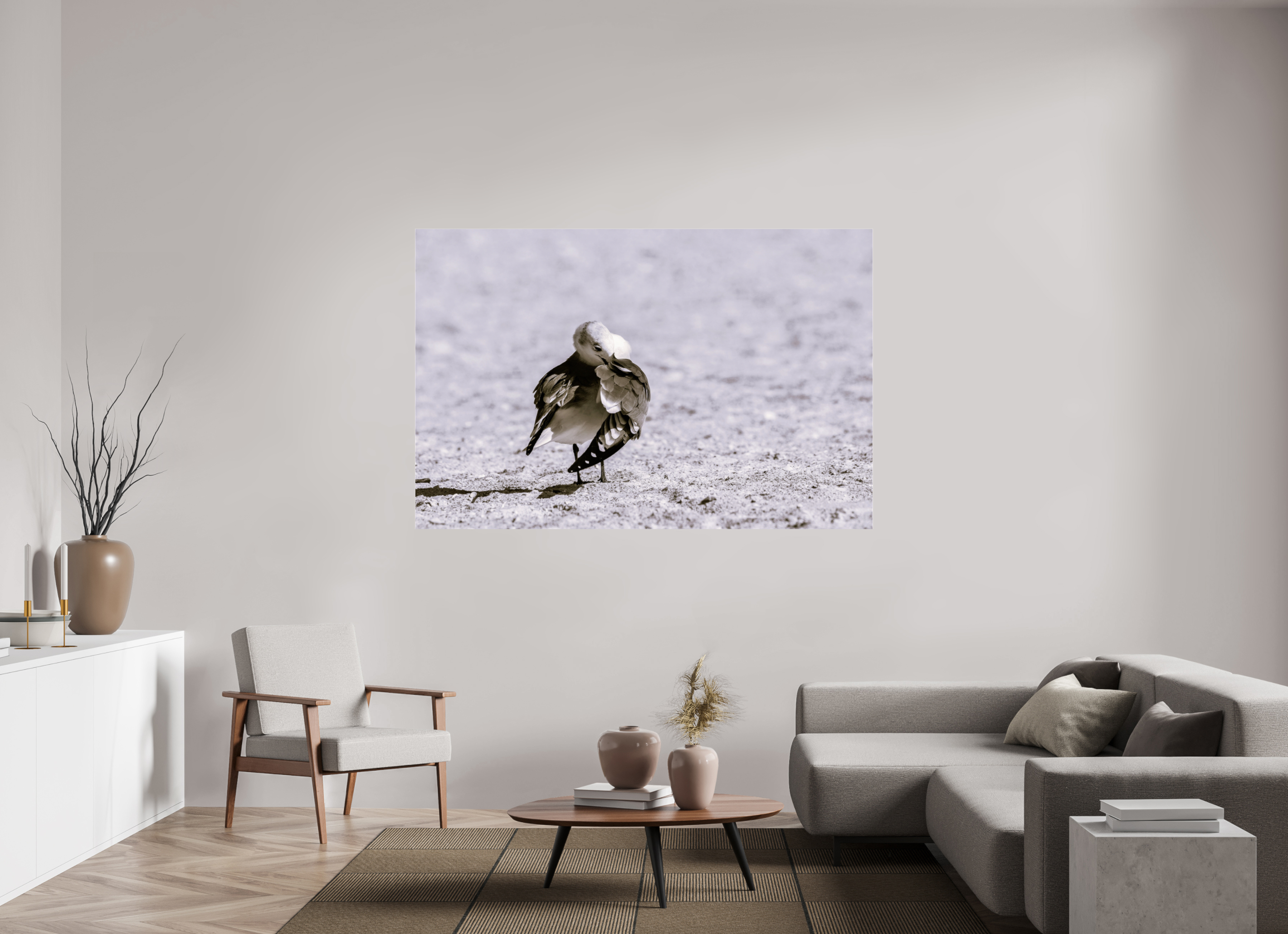 71.7 x 47″, Photo Print Under Acrylic Glass A Monochrome Gull Preening