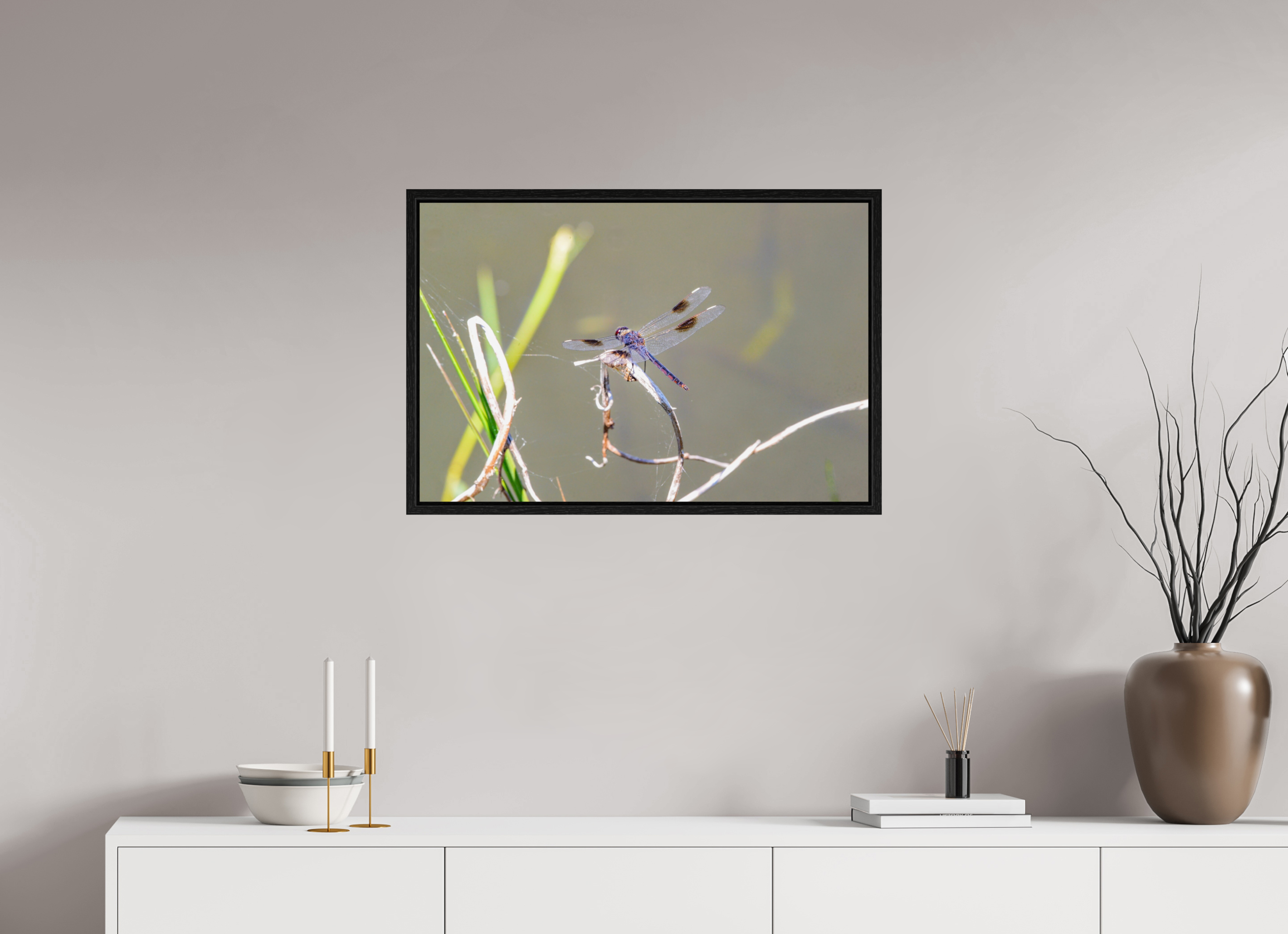 30 x 20″, Floater Frame, Basel 0.6", Black Oak, Glossy Acrylic Glass Pennant Dragonfly in the Marsh