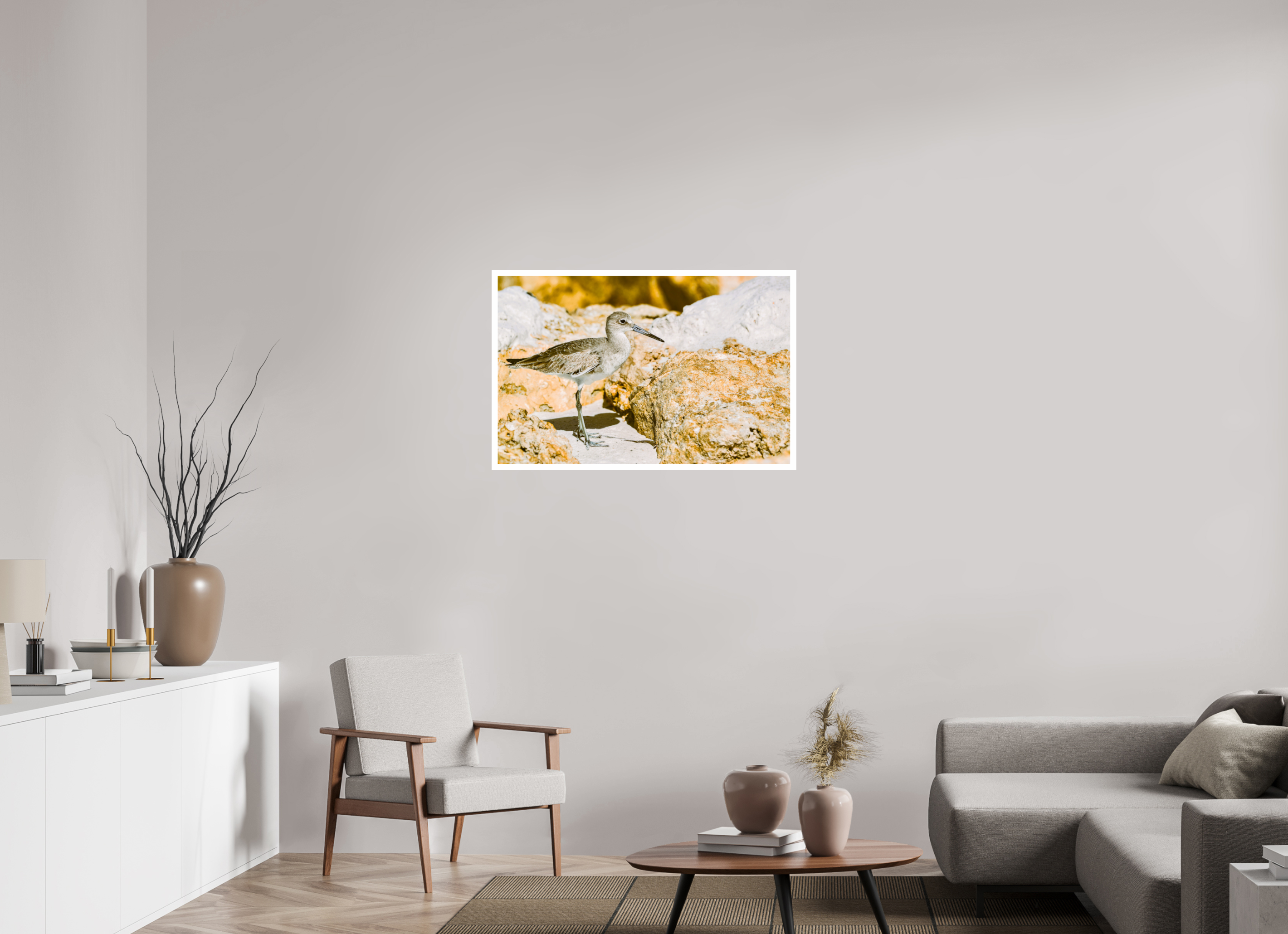 37.4 x 24″, Hahnemühle FineArt Pearl Print, .79" white border The Sunny Willet