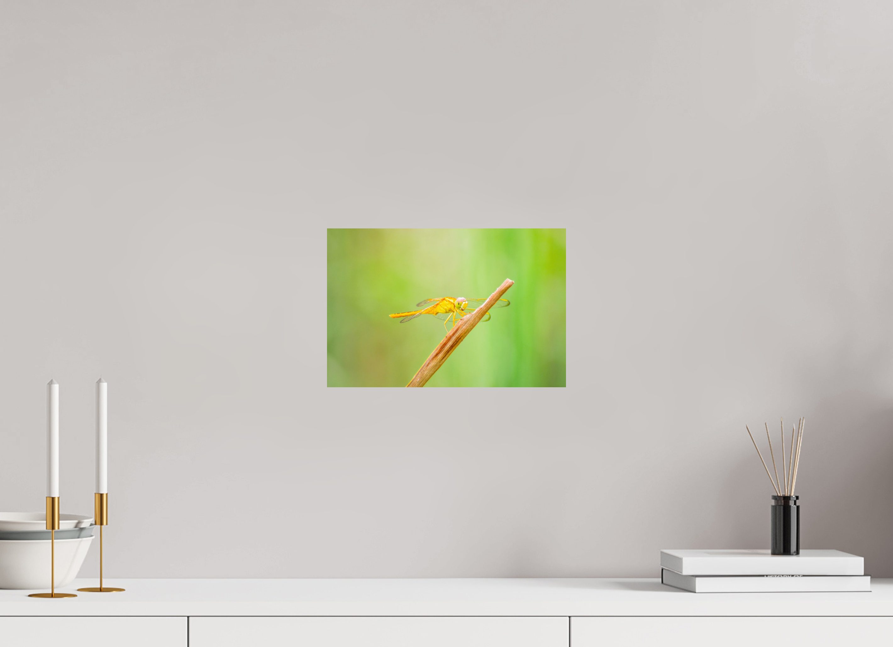 12 x 8″, Photo Print On Fuji Crystal DP II Sun-Drenched Golden Scarlet Skimmer