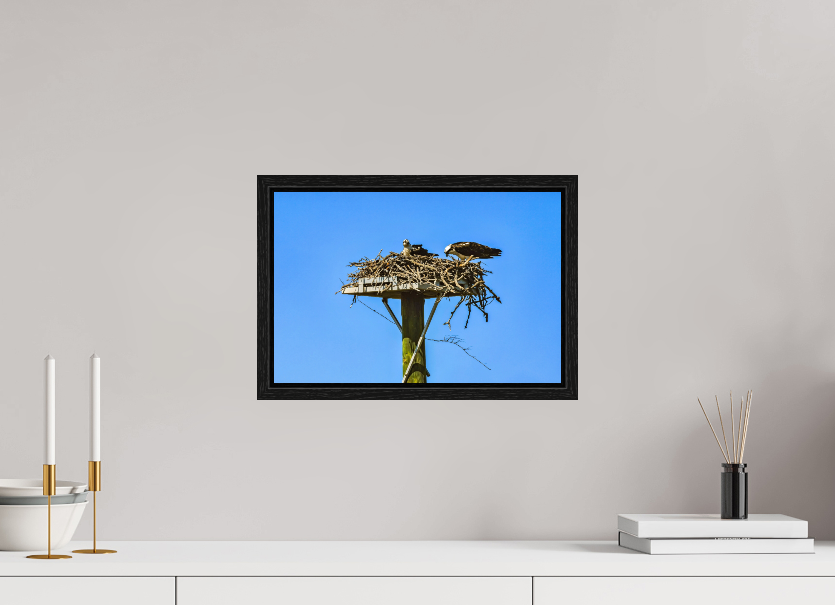 15 x 10″, Floater Frame, Basel 0.6", Black Oak, Glossy Acrylic Glass Osprey Outlook