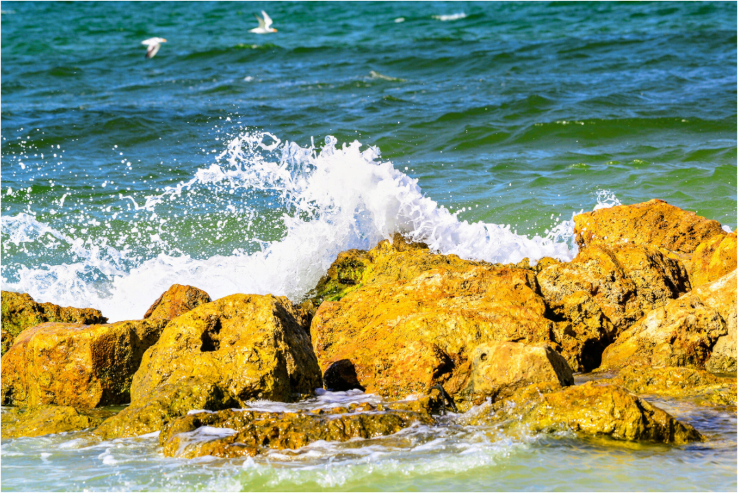 Main image Waves Breaking