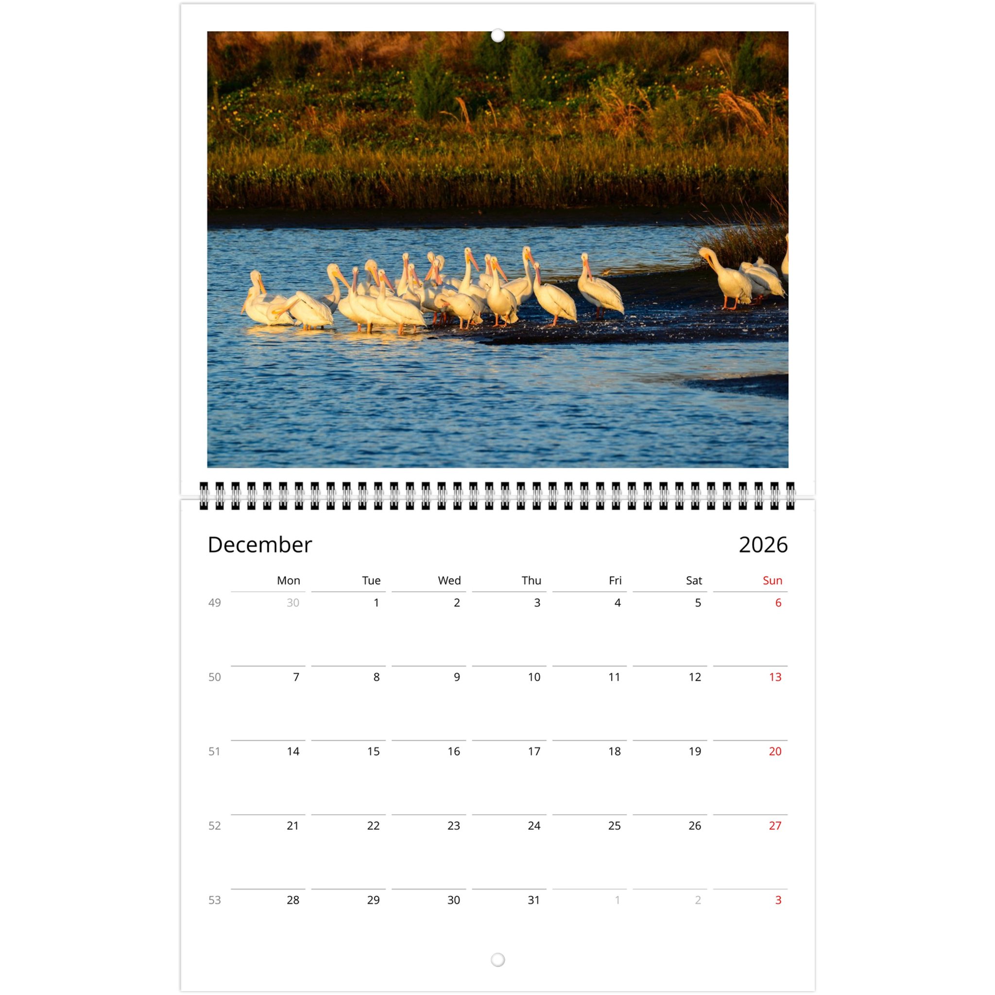 eebc9072-e0ad-44cf-b488-f1b021a9794d