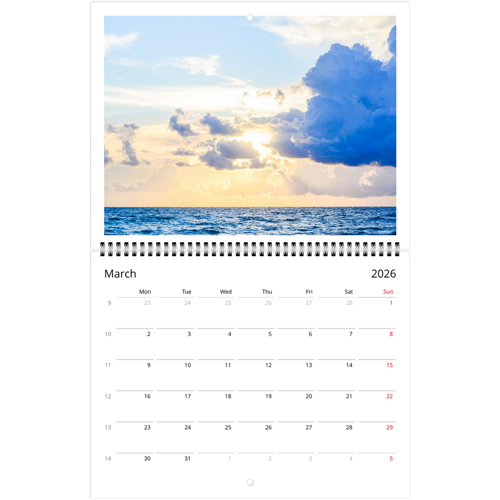 ef1e010e-b750-413a-9af2-a701a56a7985