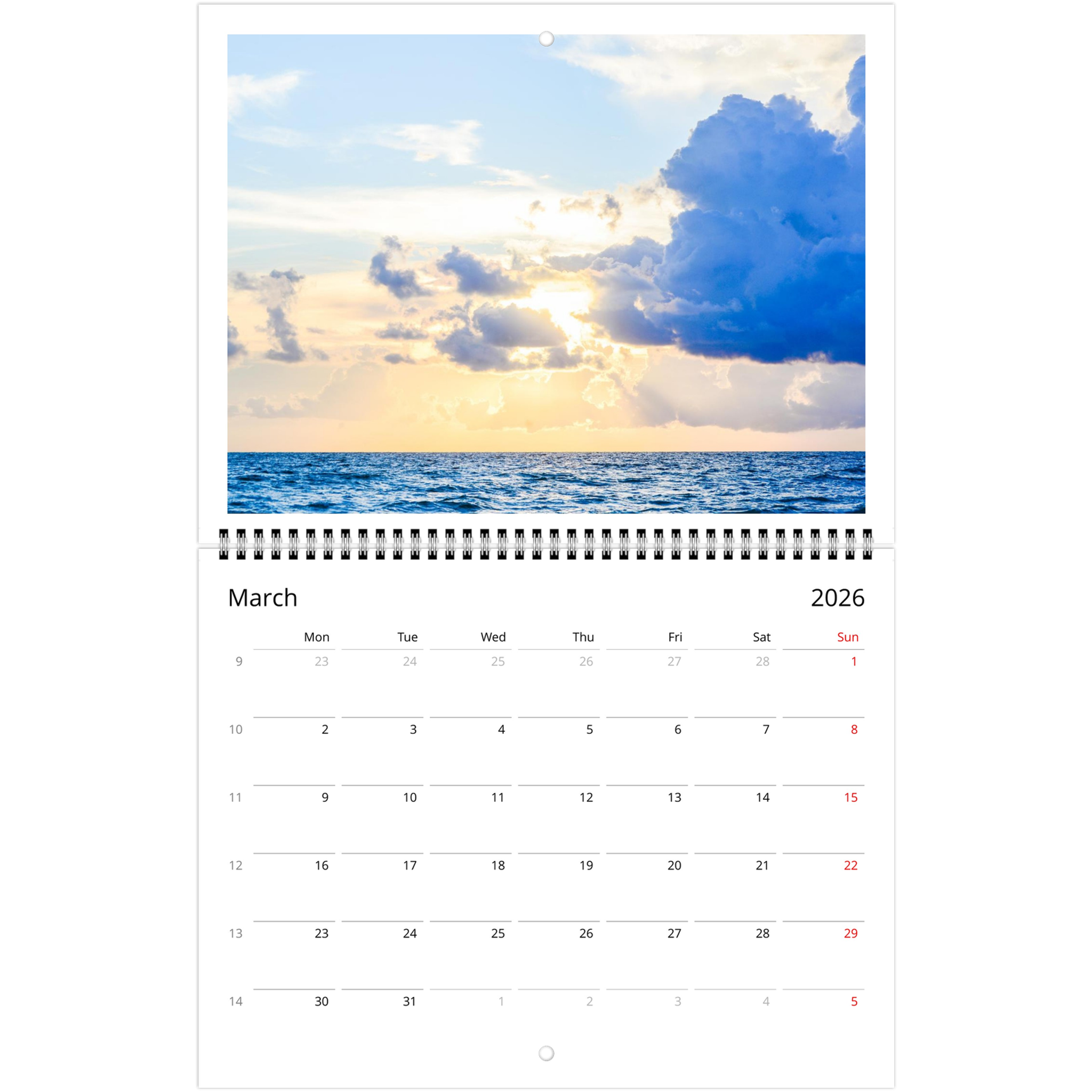 ef1e010e-b750-413a-9af2-a701a56a7985