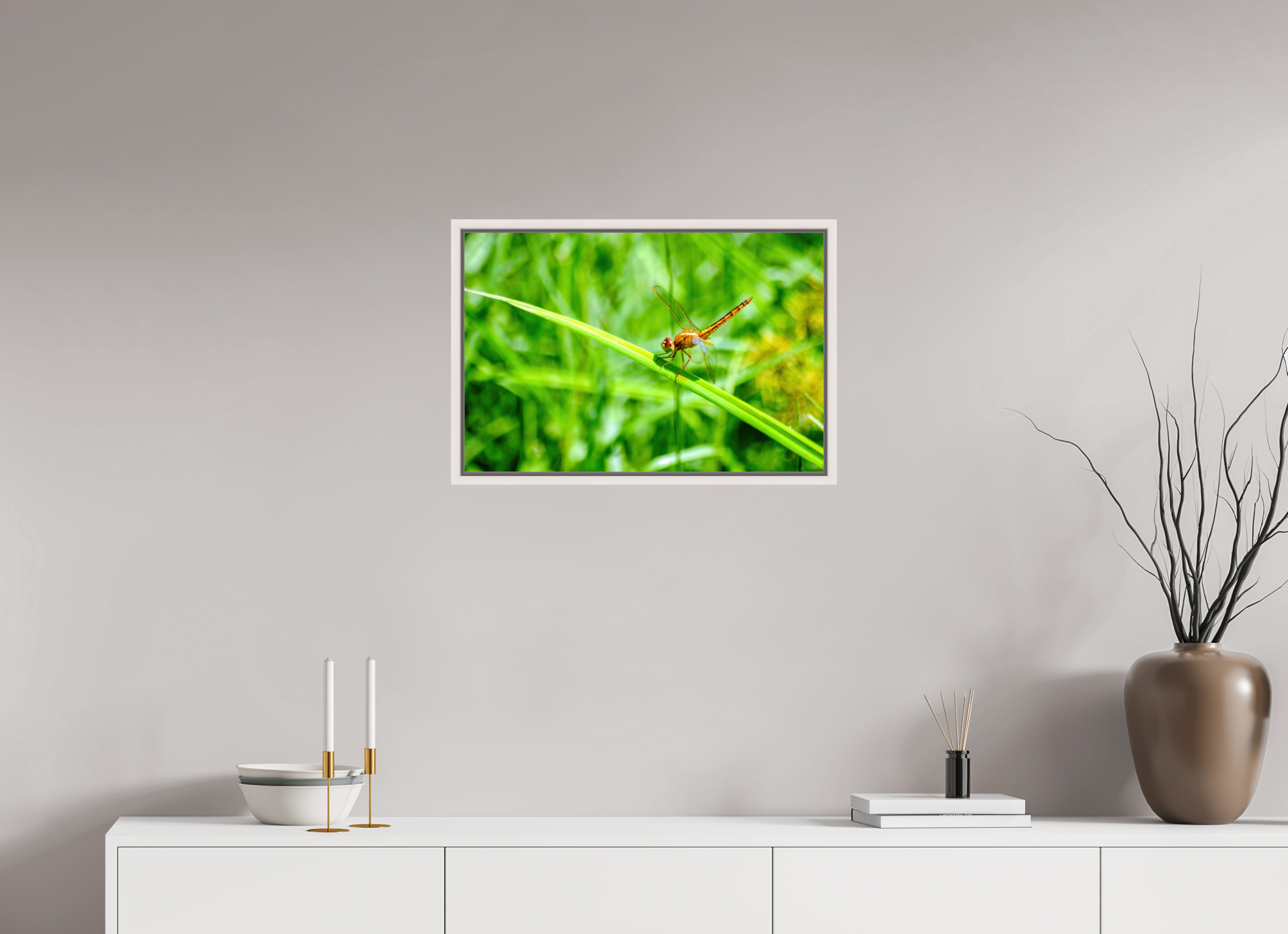 24 x 16″, Floater Frame, Basel 0.6", Maple White, Glossy Acrylic Glass Female Scarlet Skimmer