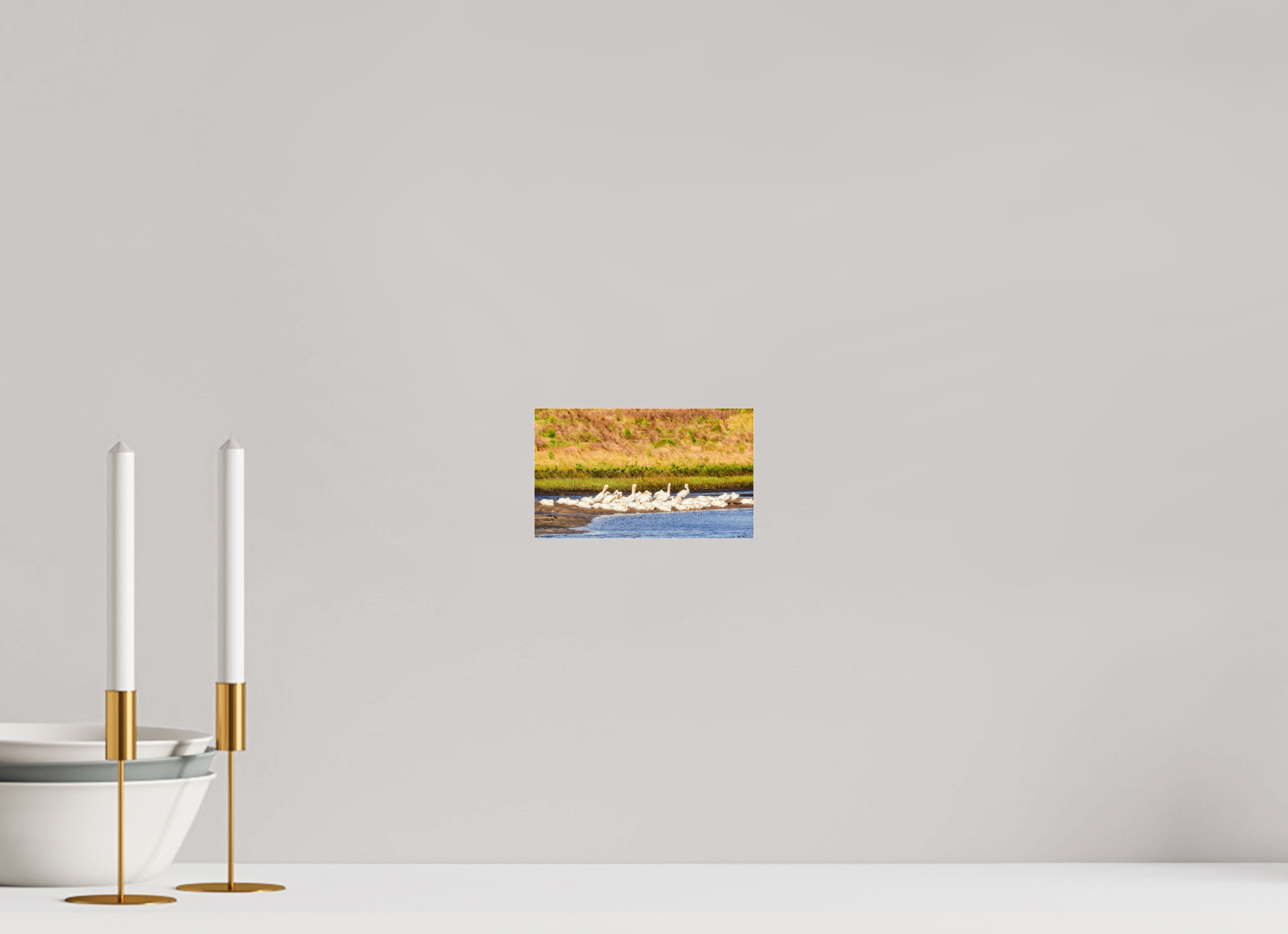 6.8 x 4″, Metallic Photo Print Under Acrylic Glass White Pelicans Golden Hour Gathering