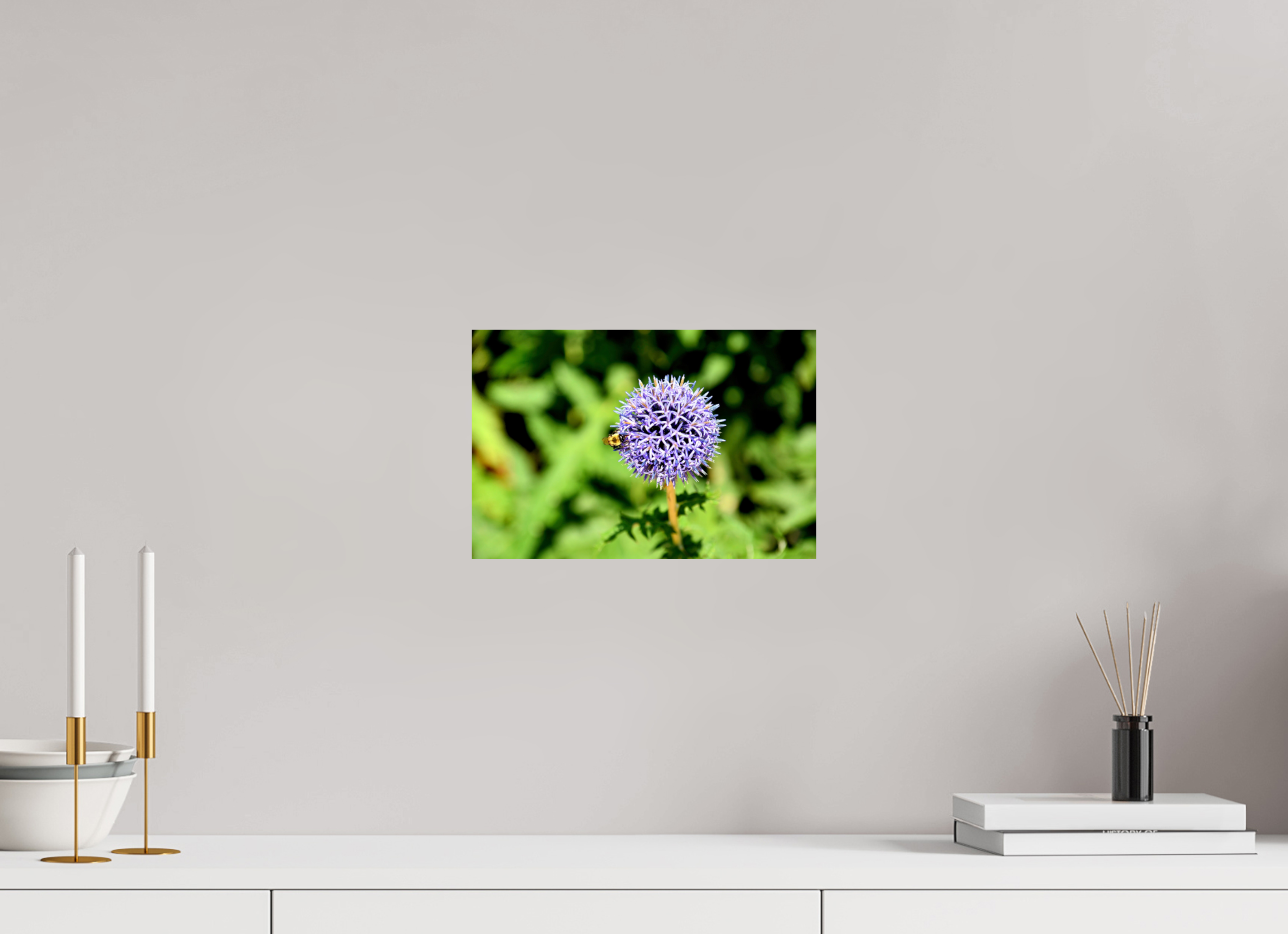 12 x 8″, Photo Print On Fuji Crystal DP II The Bee & The Globe Thistle (Echinops)