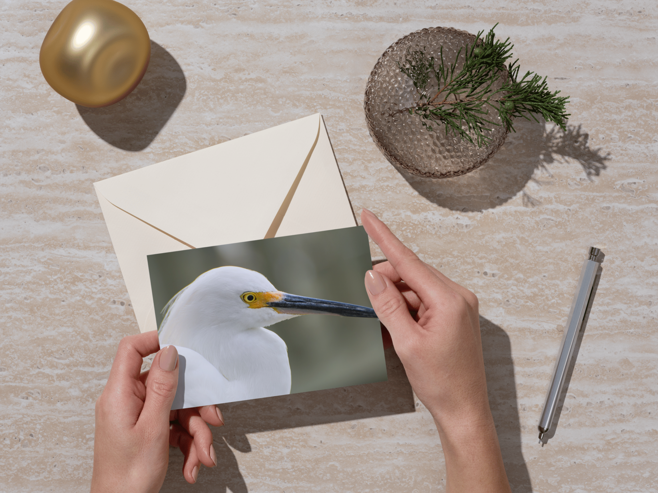 f0ce16d7-b09e-402f-be2f-c06272250626