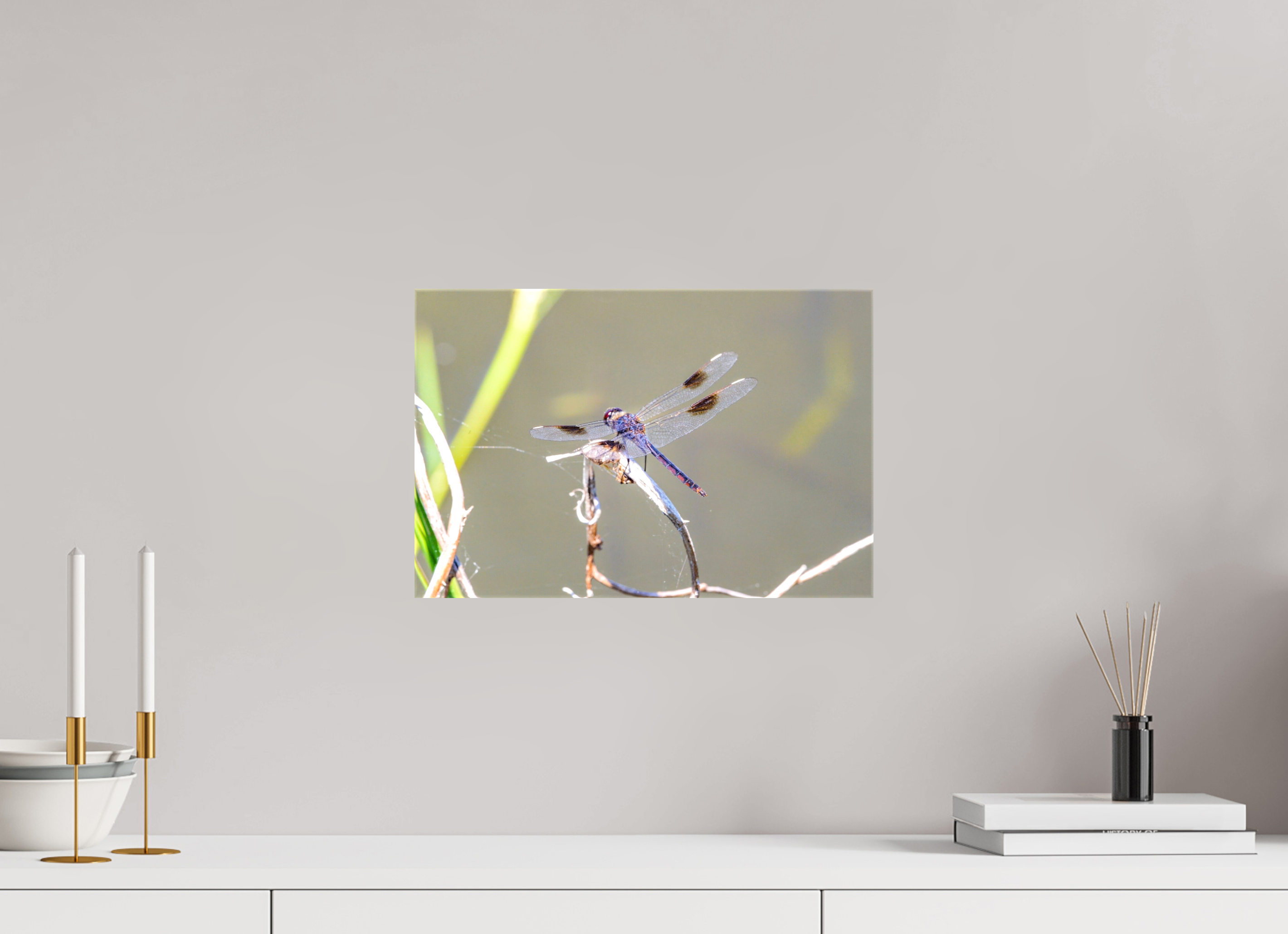 15 x 10″, Glossy Canvas on Stretcher Frame, 1,57" Wrapped Pennant Dragonfly in the Marsh