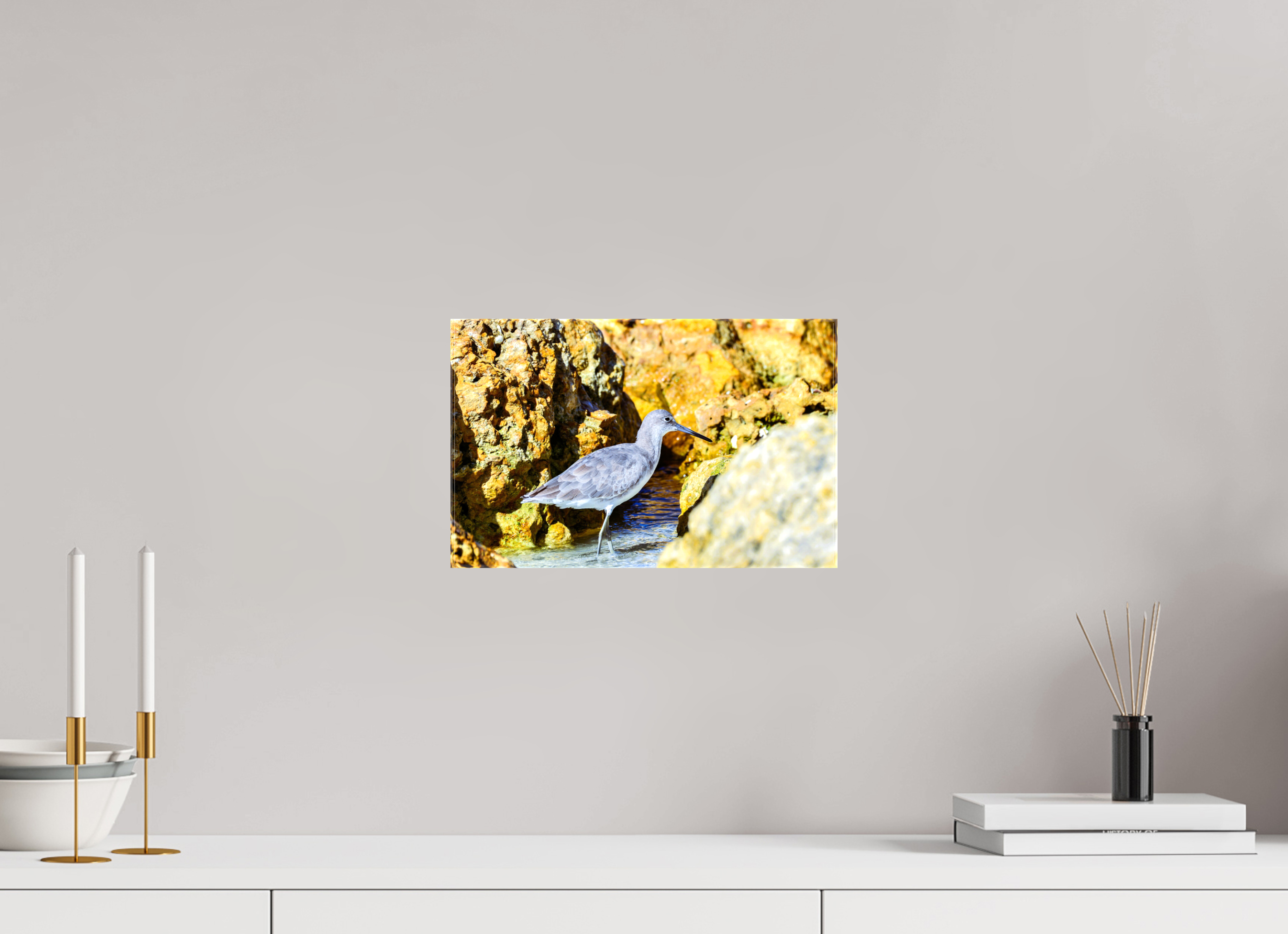 12.6 x 8″, Glossy Canvas on Stretcher Frame, 1,57" Wrapped The Hiding Willet