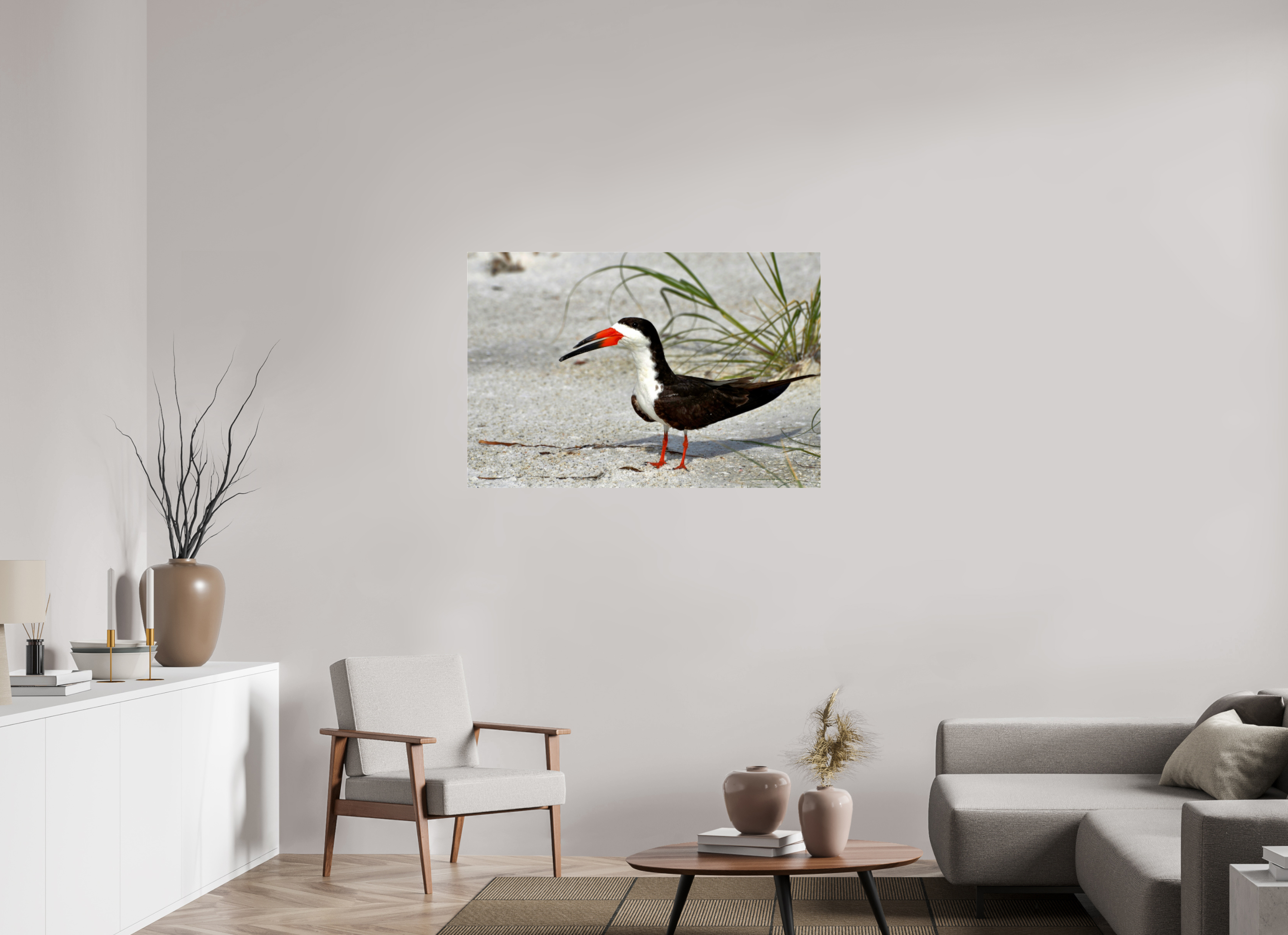 45 x 30″, Photo Print Fuji Crystal Archive Under Acrylic Glass Sand & Black Skimmer
