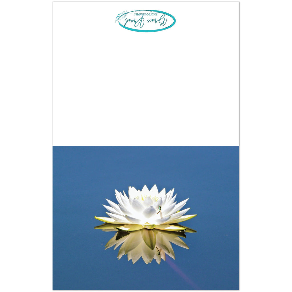 f18467cd-9ca5-45f5-a222-8356d08dde09