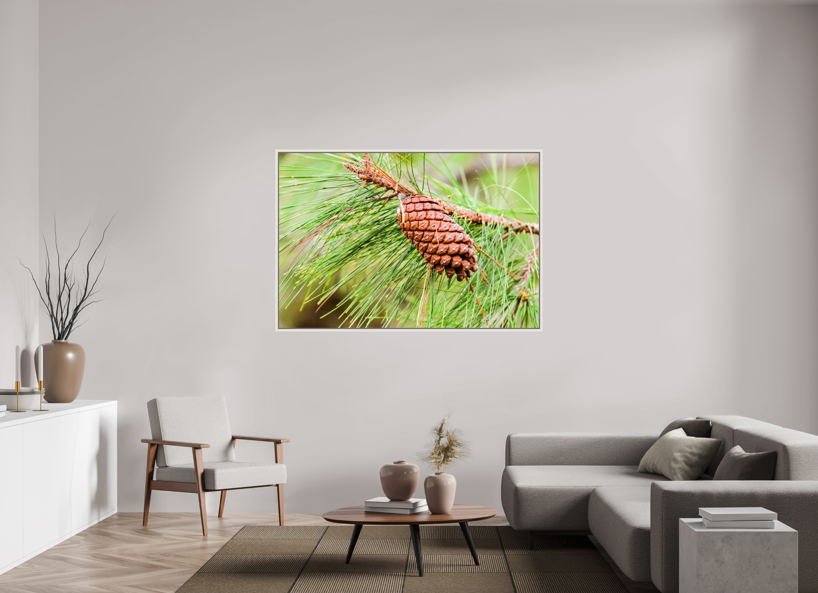 63.9 x 43″, Floater Frame, Basel 0.6", Maple White, Glossy Acrylic Glass The Longleaf Pine Cone