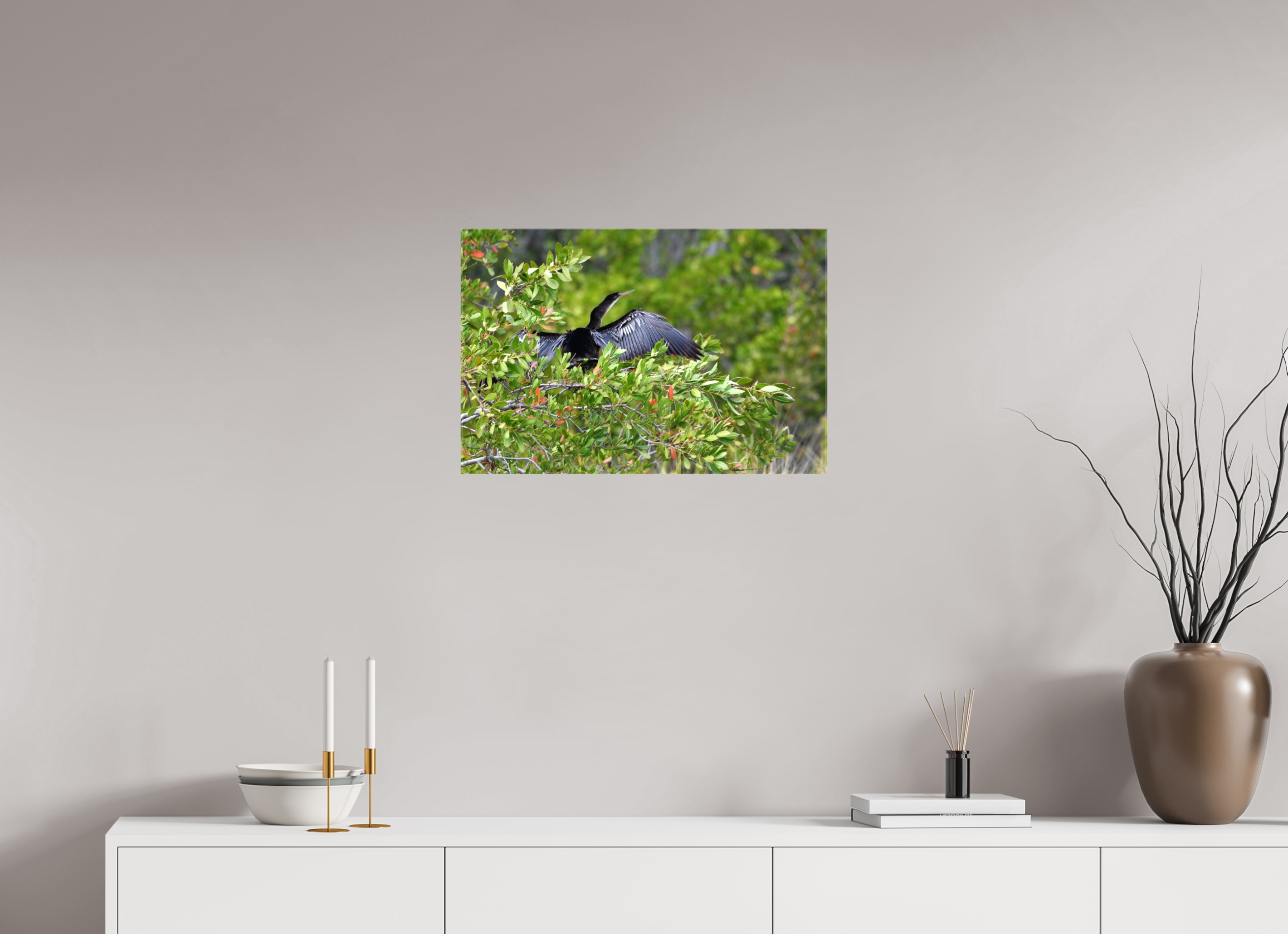 24 x 16″, Glossy Canvas on Stretcher Frame, 1,57" Wrapped Florida Anhinga Sunning