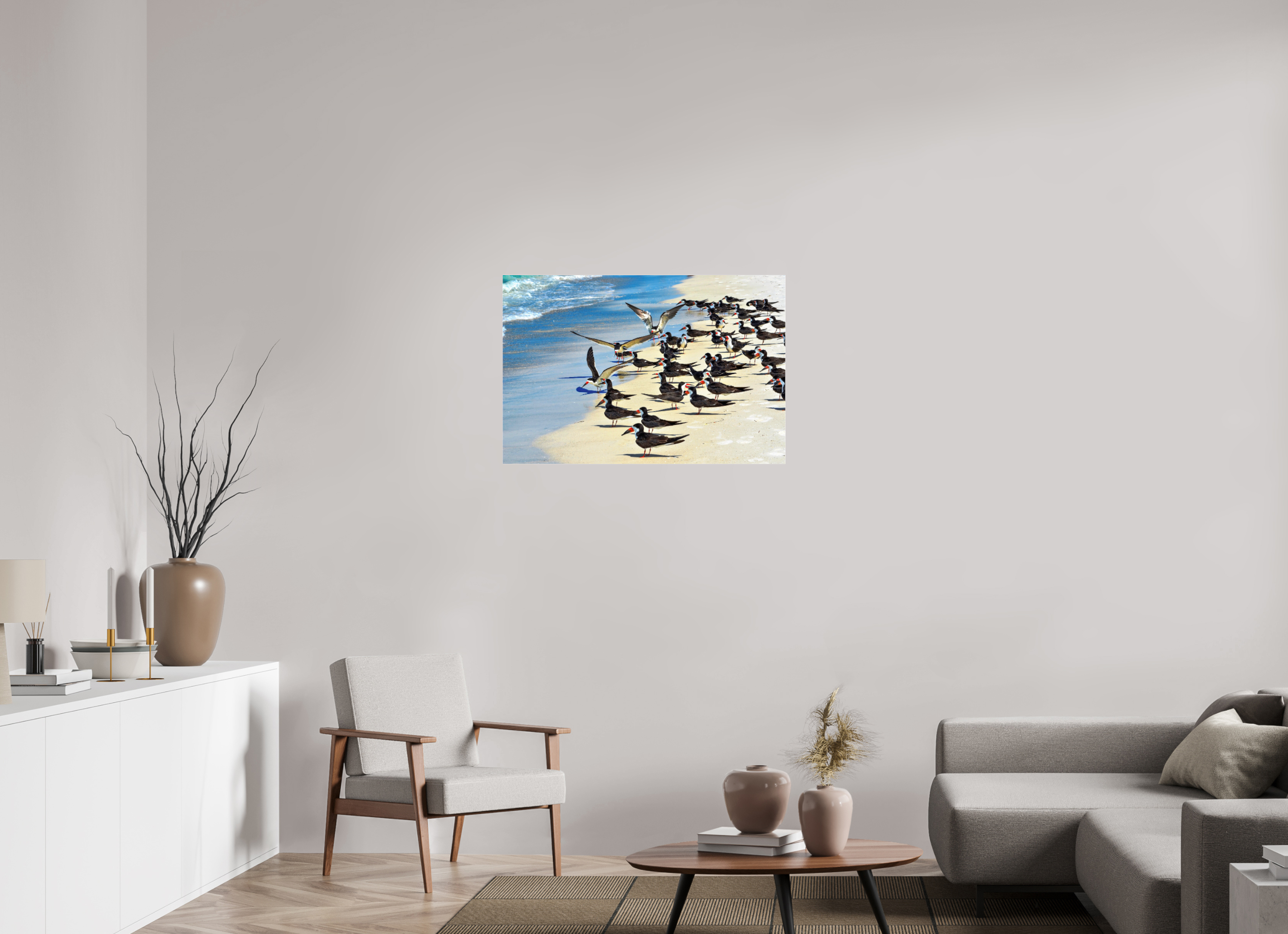 36 x 24″, Photo Print Fuji Crystal Archive Under Acrylic Glass Shoreline Social: Black Skimmer Colony