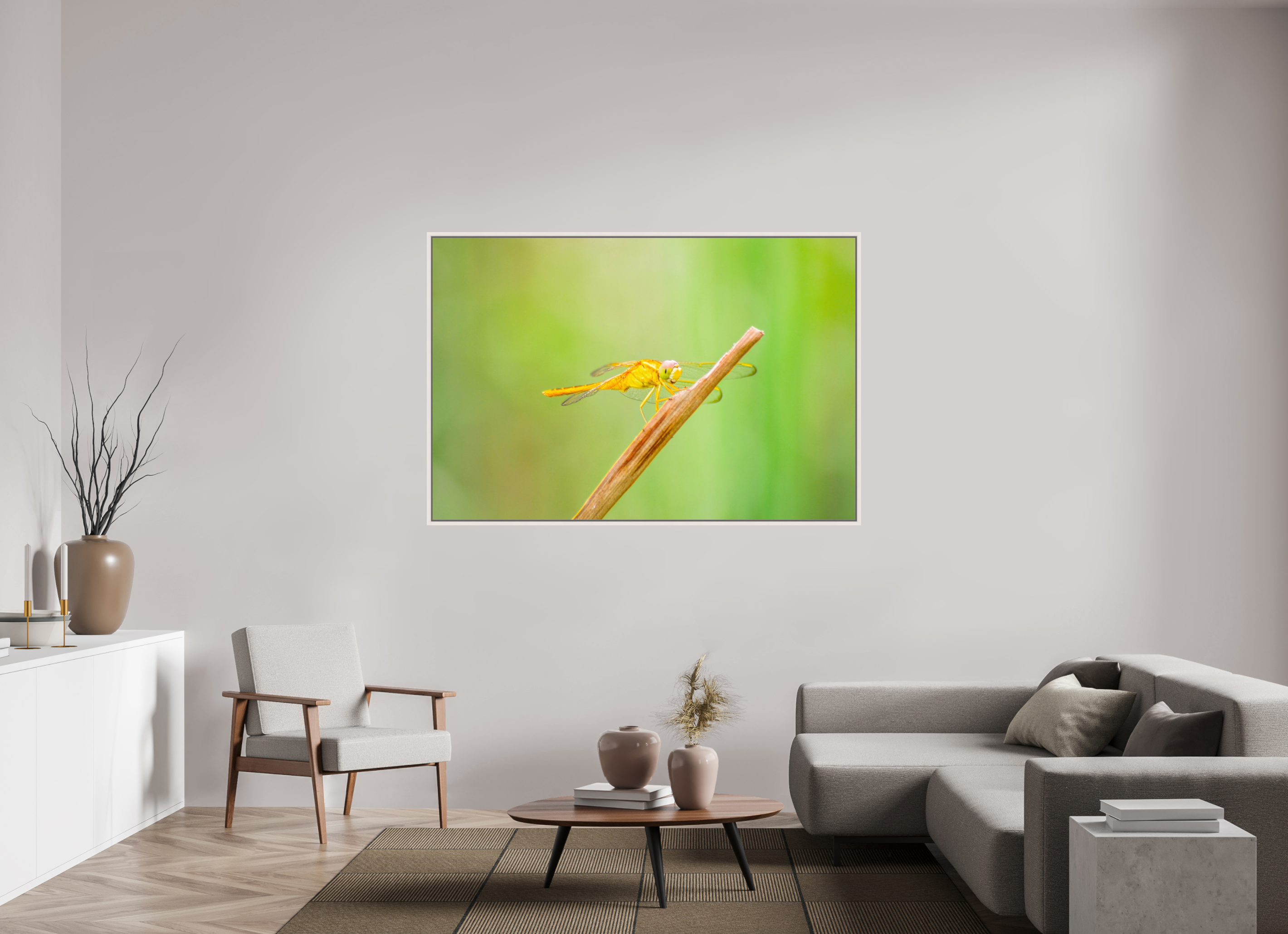 66 x 44″, Floater Frame, Basel 0.6", Maple White, Glossy Acrylic Glass Sun-Drenched Golden Scarlet Skimmer