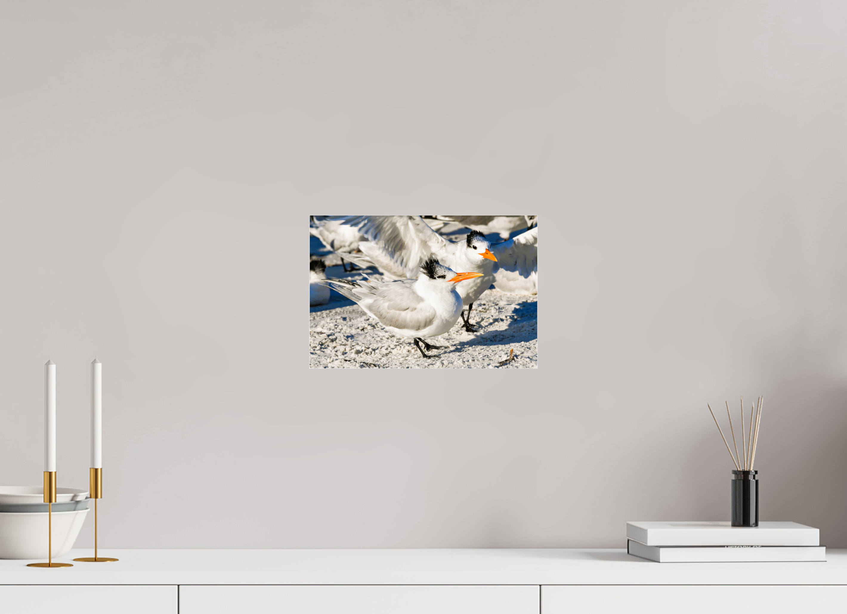 11.9 x 8″, Photo Print Fuji Crystal Archive Under Acrylic Glass Coastal Royalty