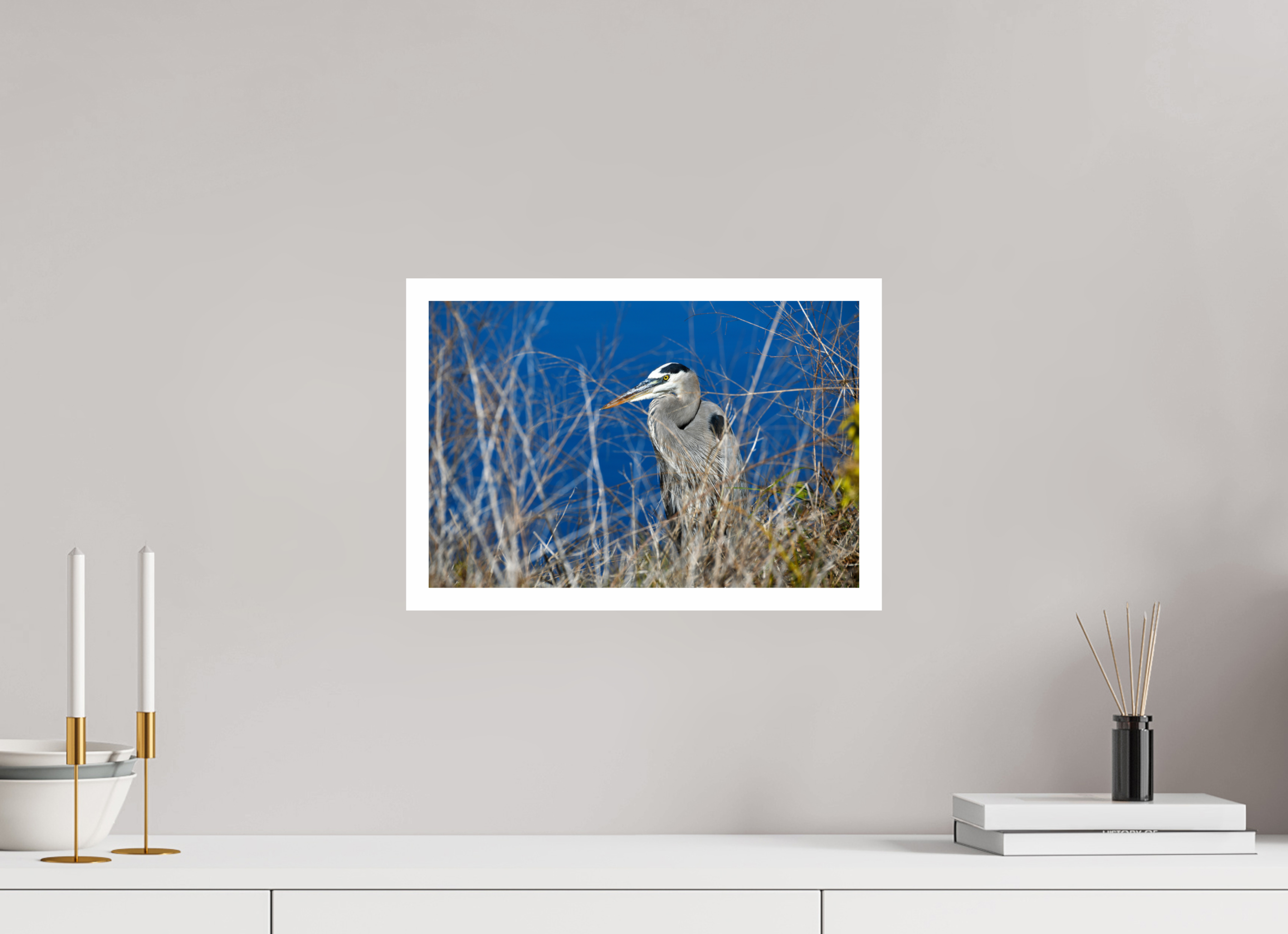 15 x 10″, Hahnemühle FineArt Pearl Print, .79" white border Hidden Majesty: Great Blue Heron