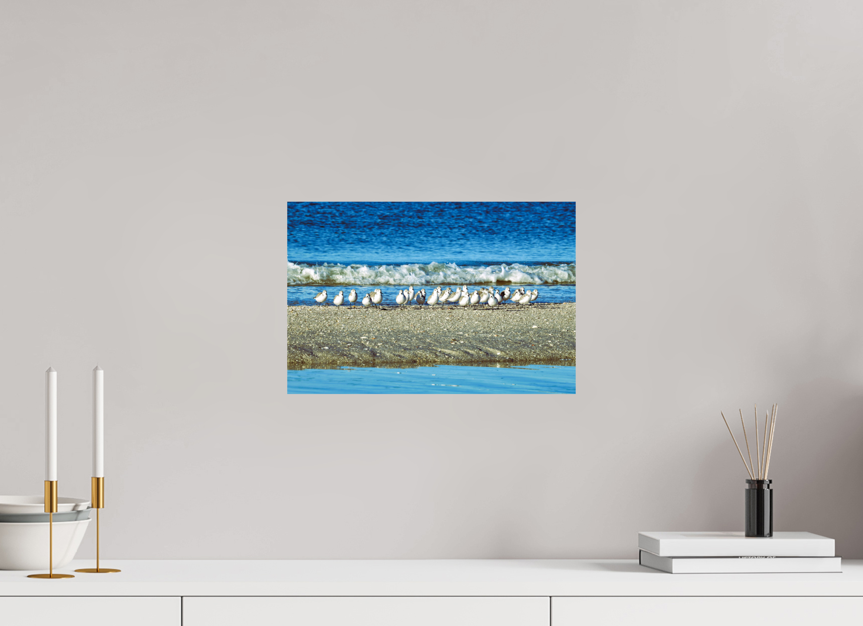 15 x 10″, Photo Print On Fuji Crystal DP II Sanderlings on Standby