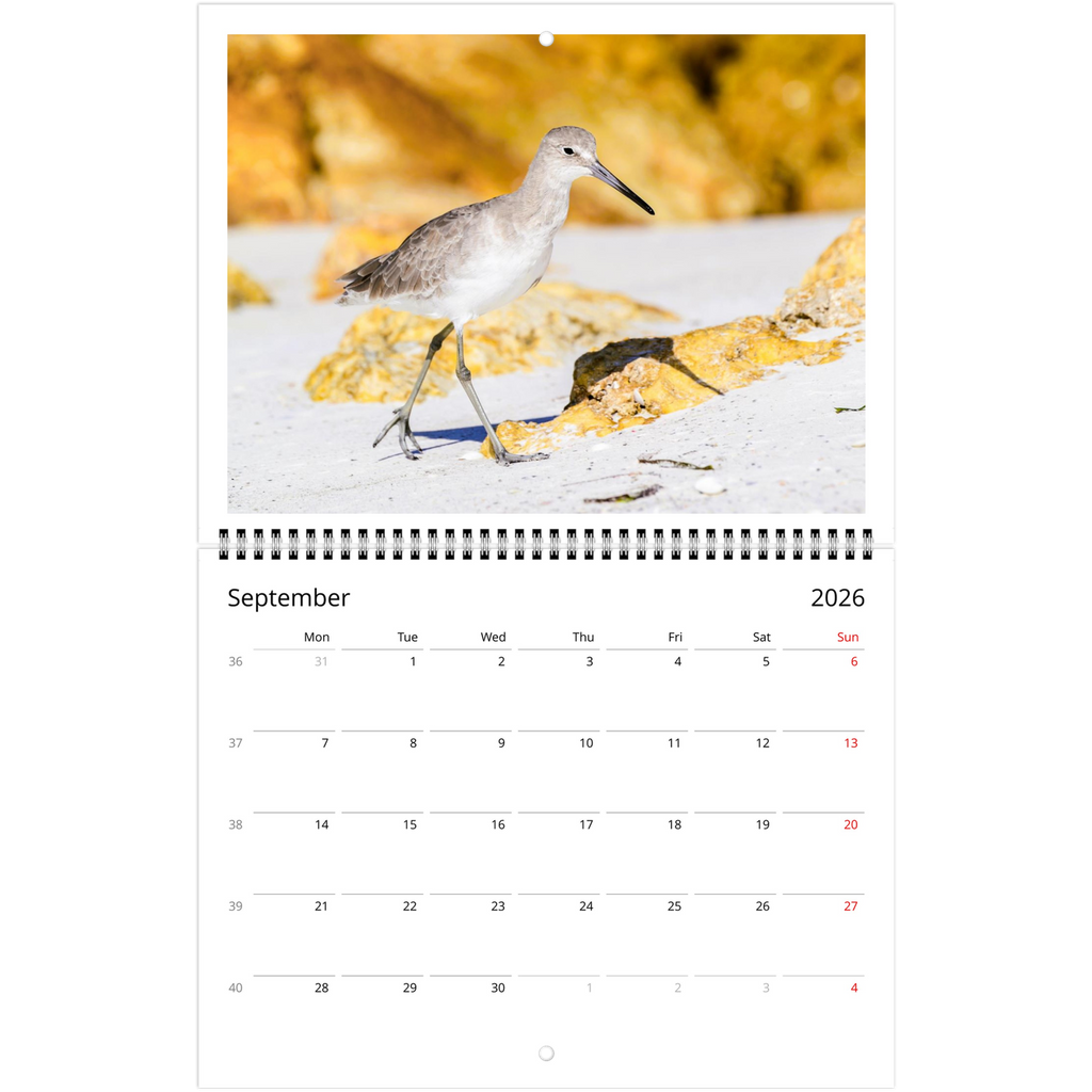 f6bdd646-6347-4226-9132-01ed9e0a179c