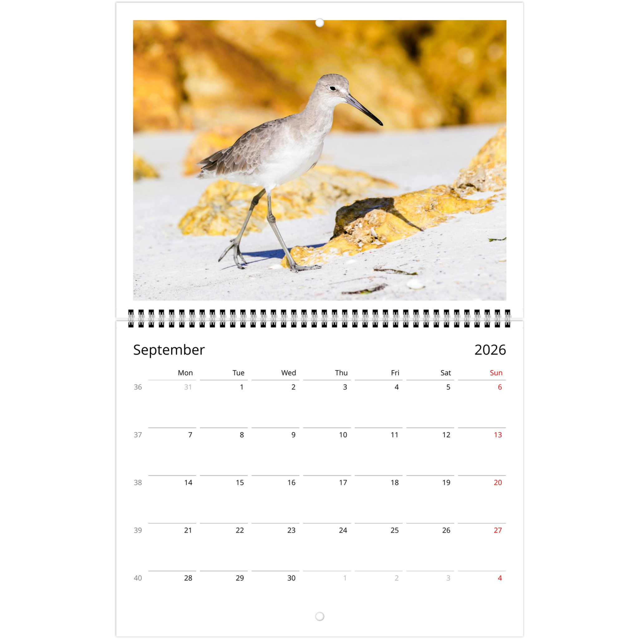 f6bdd646-6347-4226-9132-01ed9e0a179c