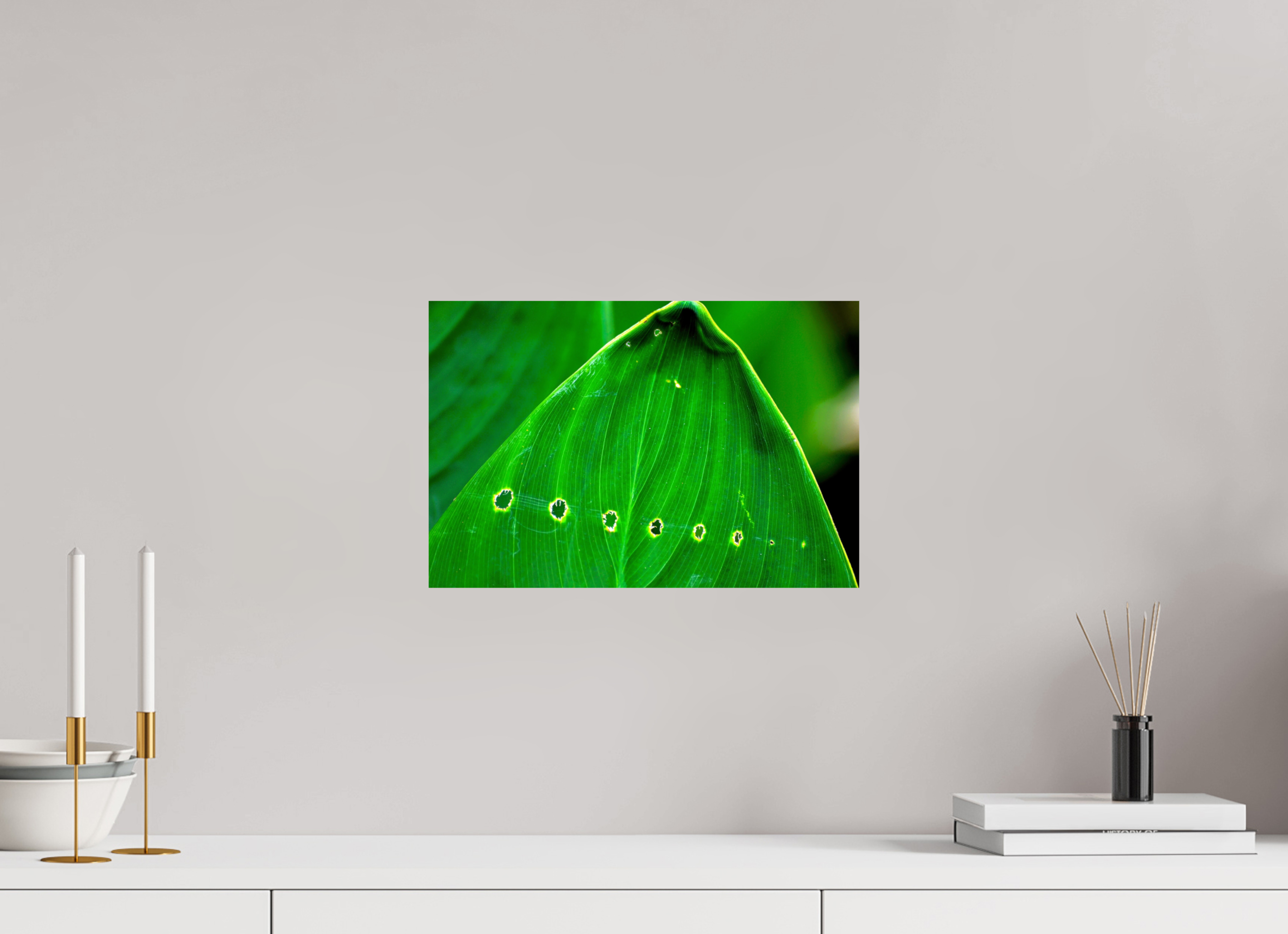 15 x 10″, Photo Print On Fuji Crystal DP II Linear Progression in Green