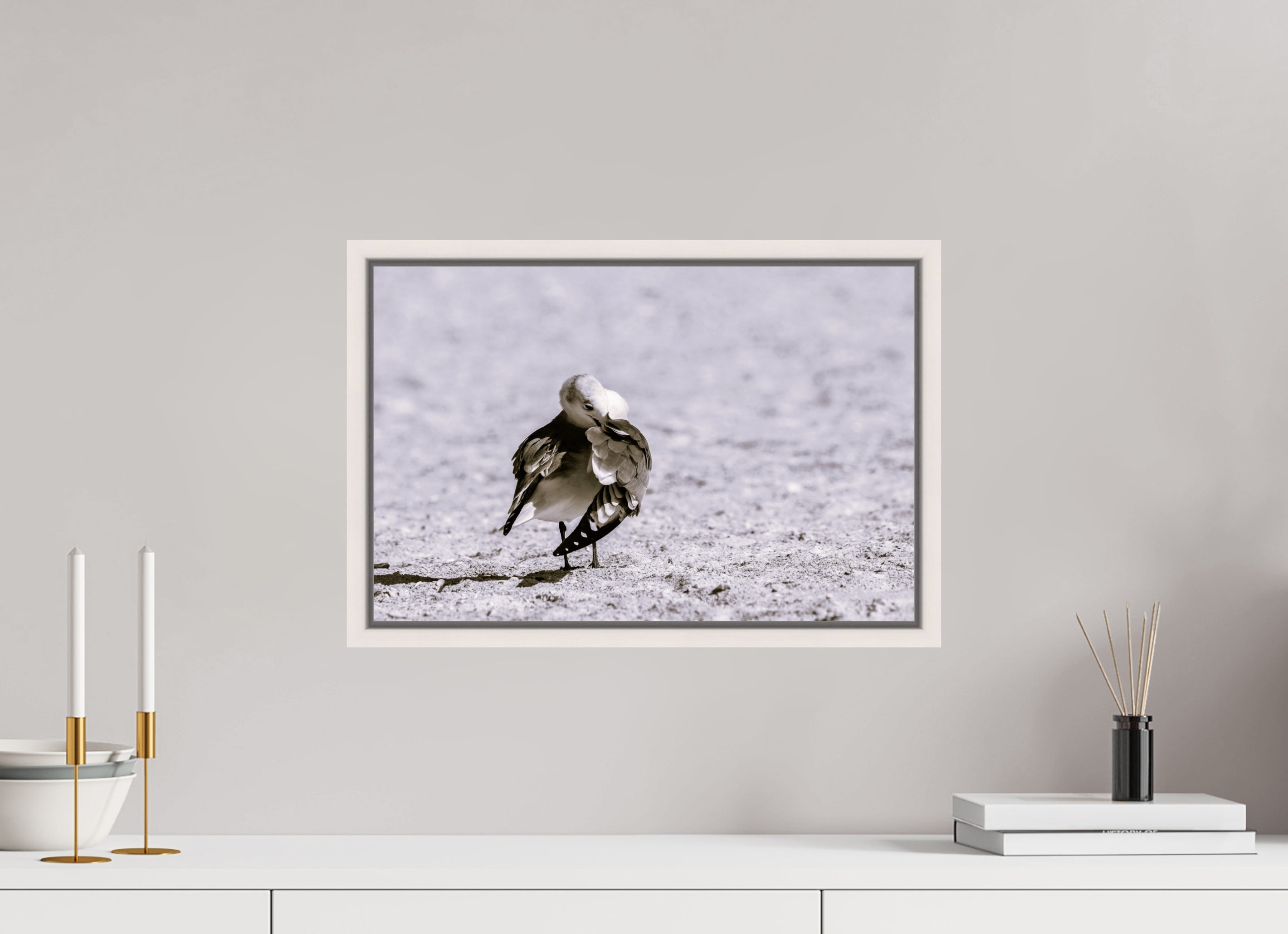 18.3 x 12″, Floater Frame, Basel 0.6", Maple White, Glossy Acrylic Glass Preening Gull