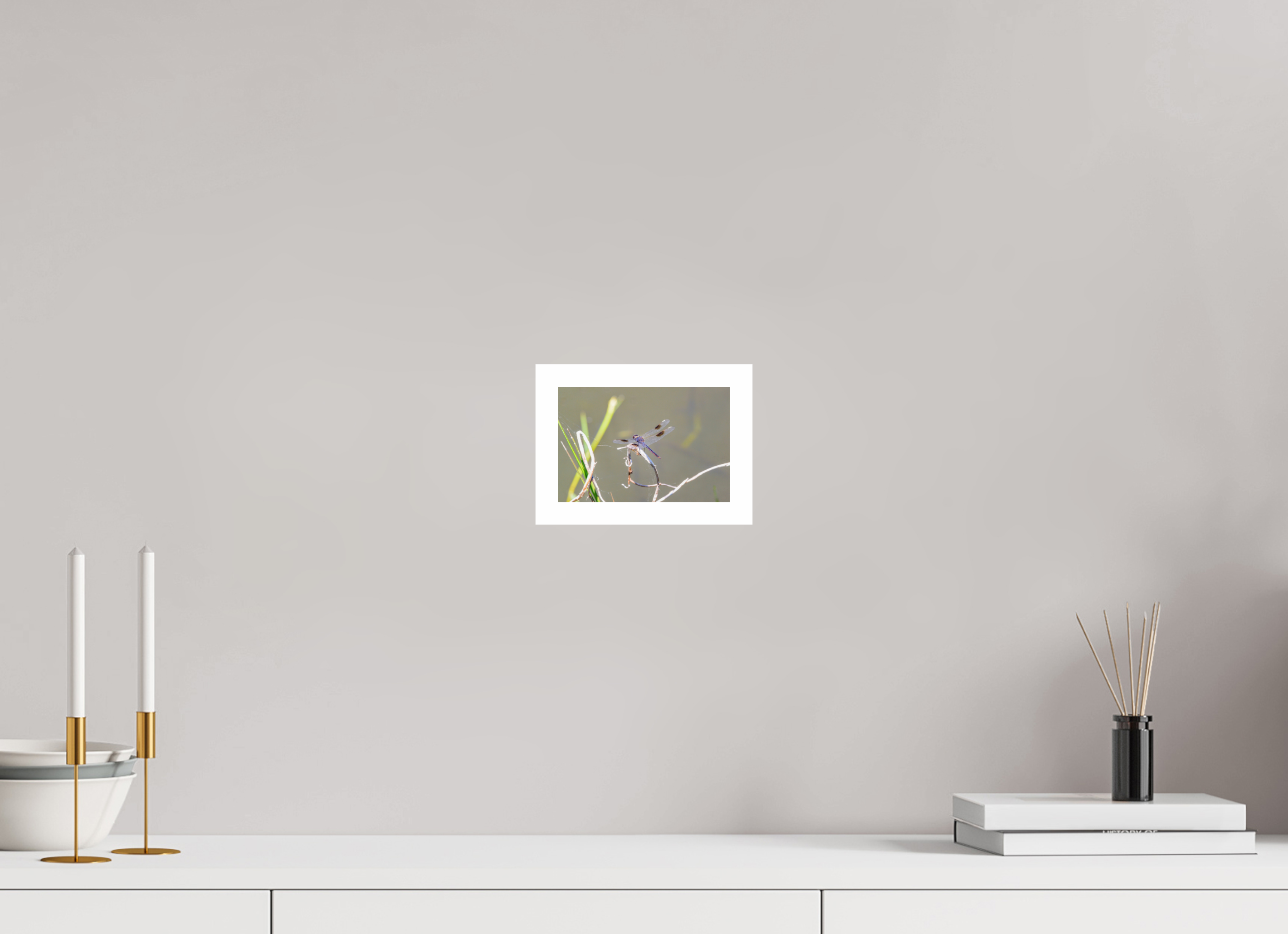 6 x 4″, Hahnemühle FineArt Pearl Print, .79" white border Pennant Dragonfly in the Marsh