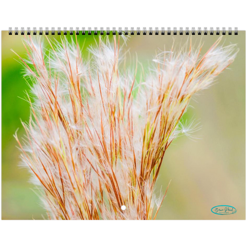 fa052ec1-5440-4e15-833b-56b82e7ecd32