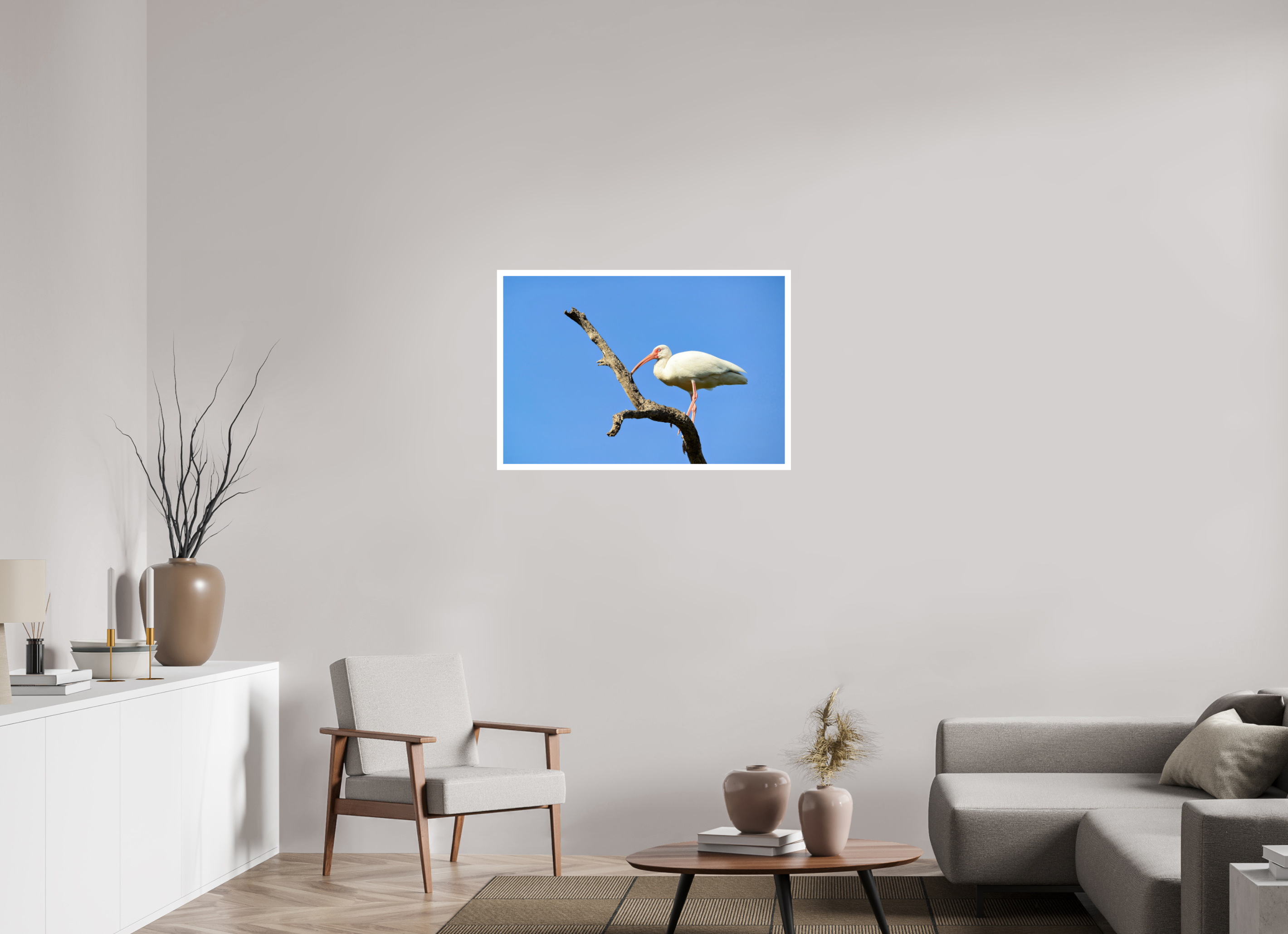 36 x 24″, Hahnemühle FineArt Pearl Print, .79" white border Azure Solitude: The American White Ibis