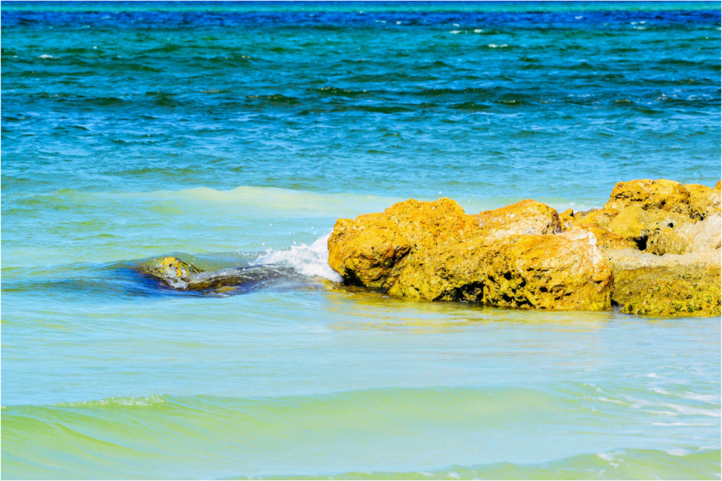 Main image Calm Waters