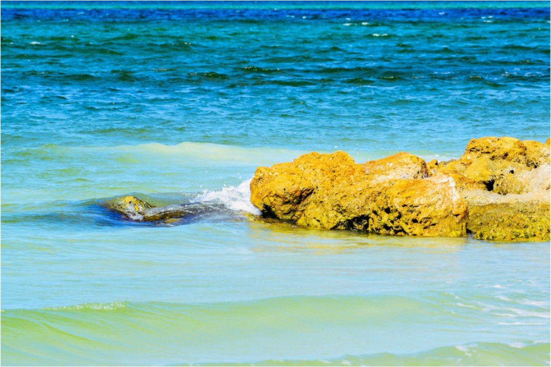 Main image Calm Waters