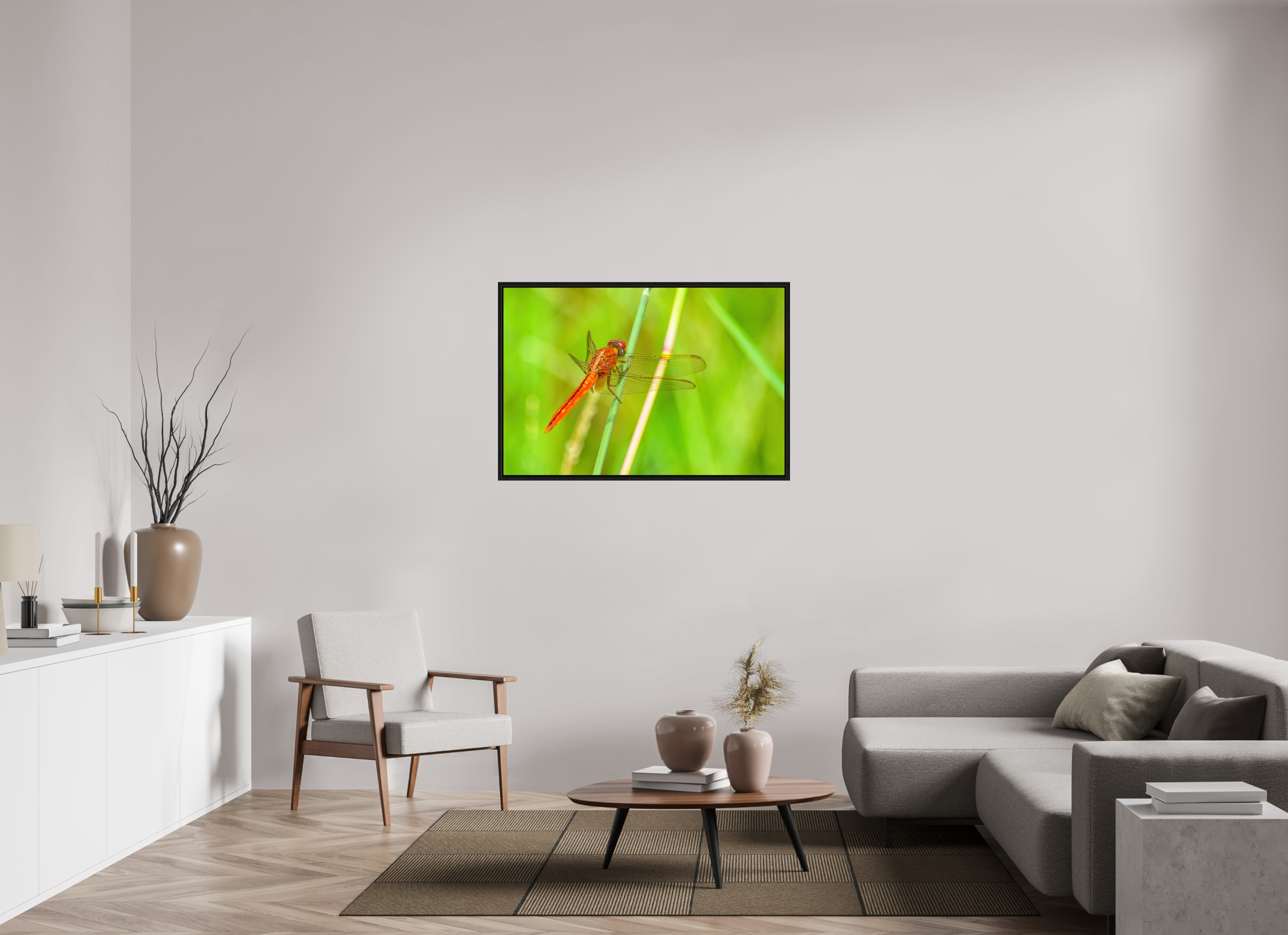 45 x 30″, Floater Frame, Basel 0.6", Black Oak, Glossy Acrylic Glass Resting Scarlet Skimmer