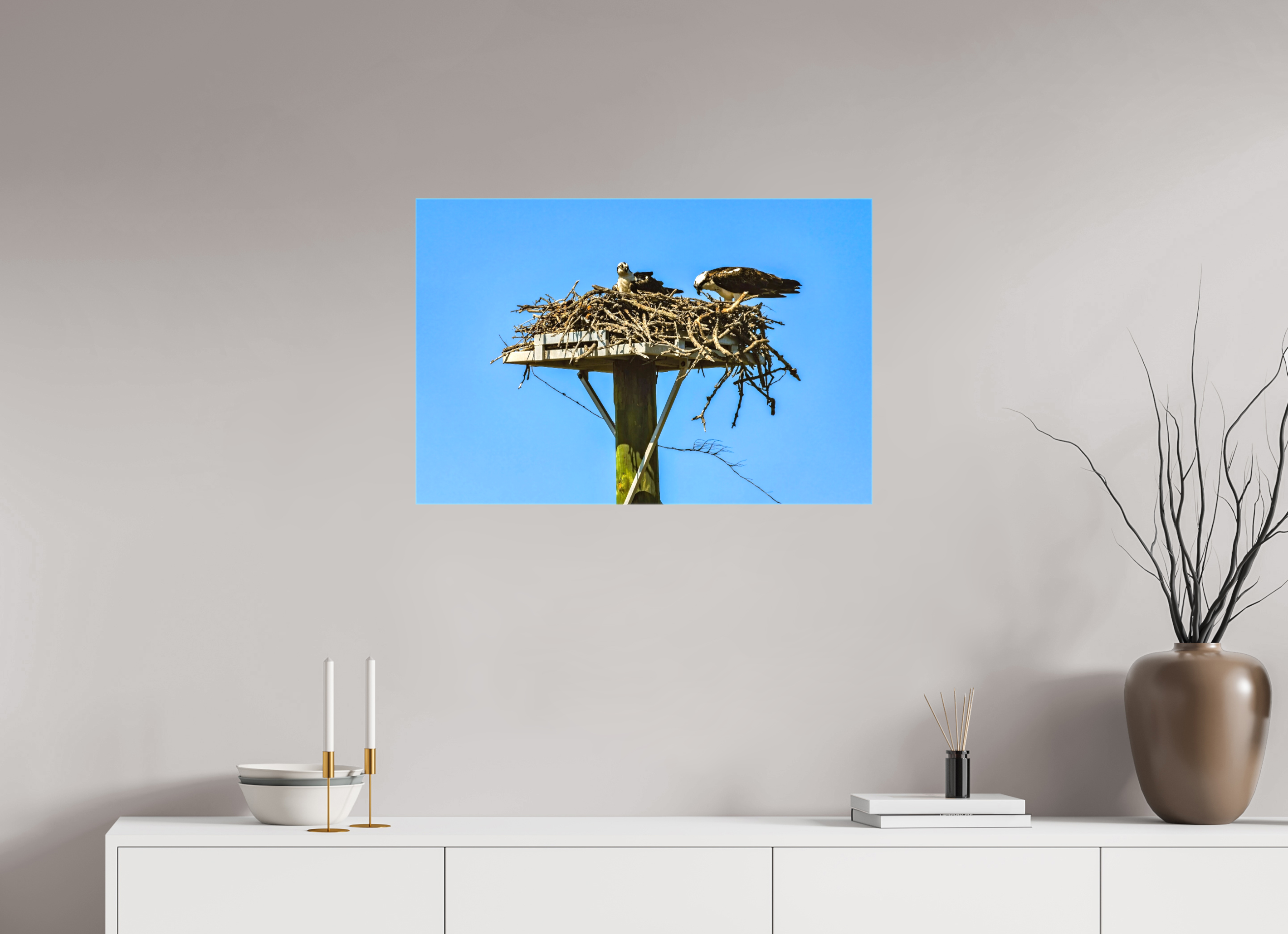 30 x 20″, Glossy Canvas on Stretcher Frame, 1,57" Wrapped Osprey Outlook