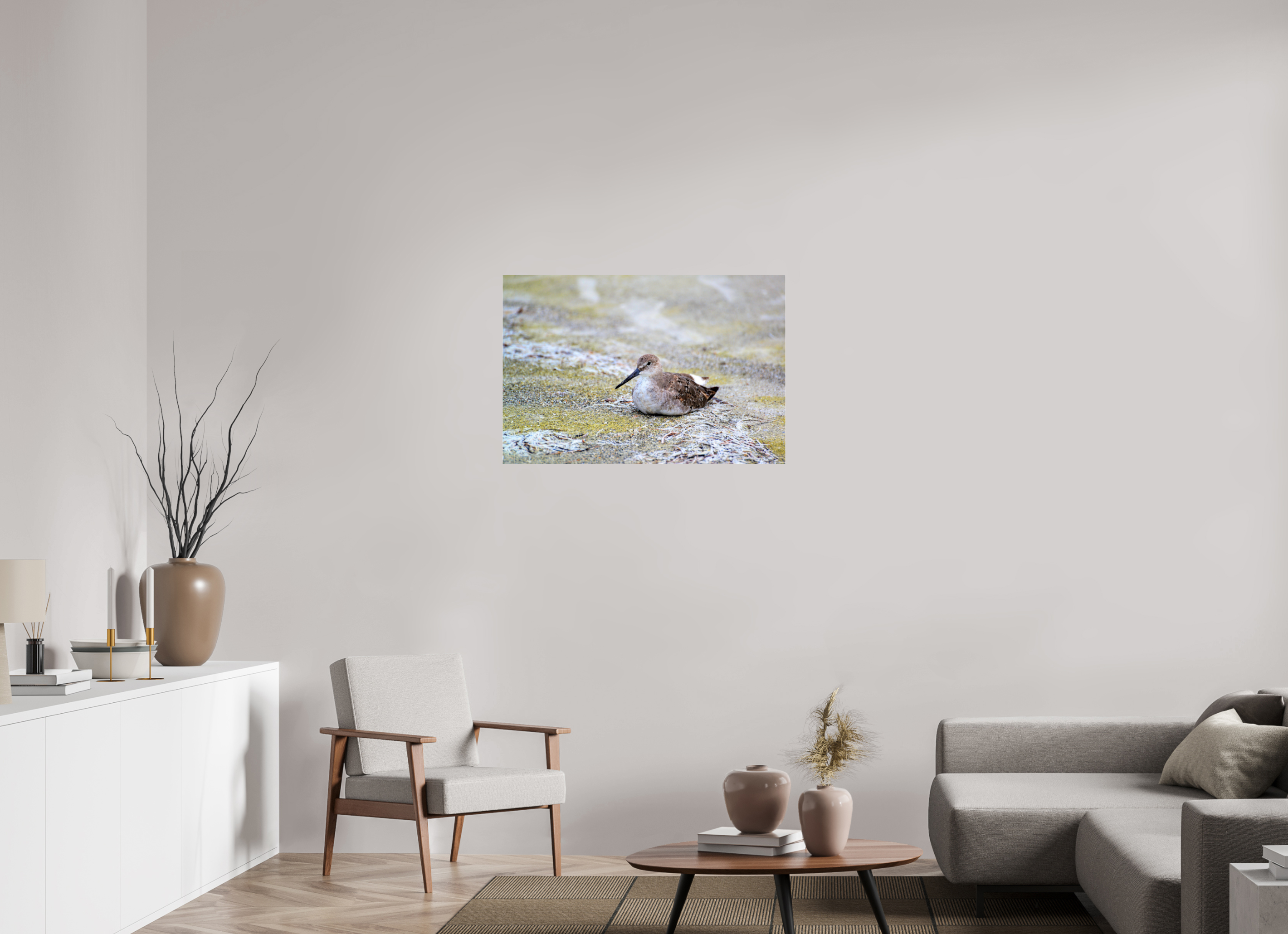 36 x 24″, Photo Print Fuji Crystal Archive Under Acrylic Glass The Resting Willet