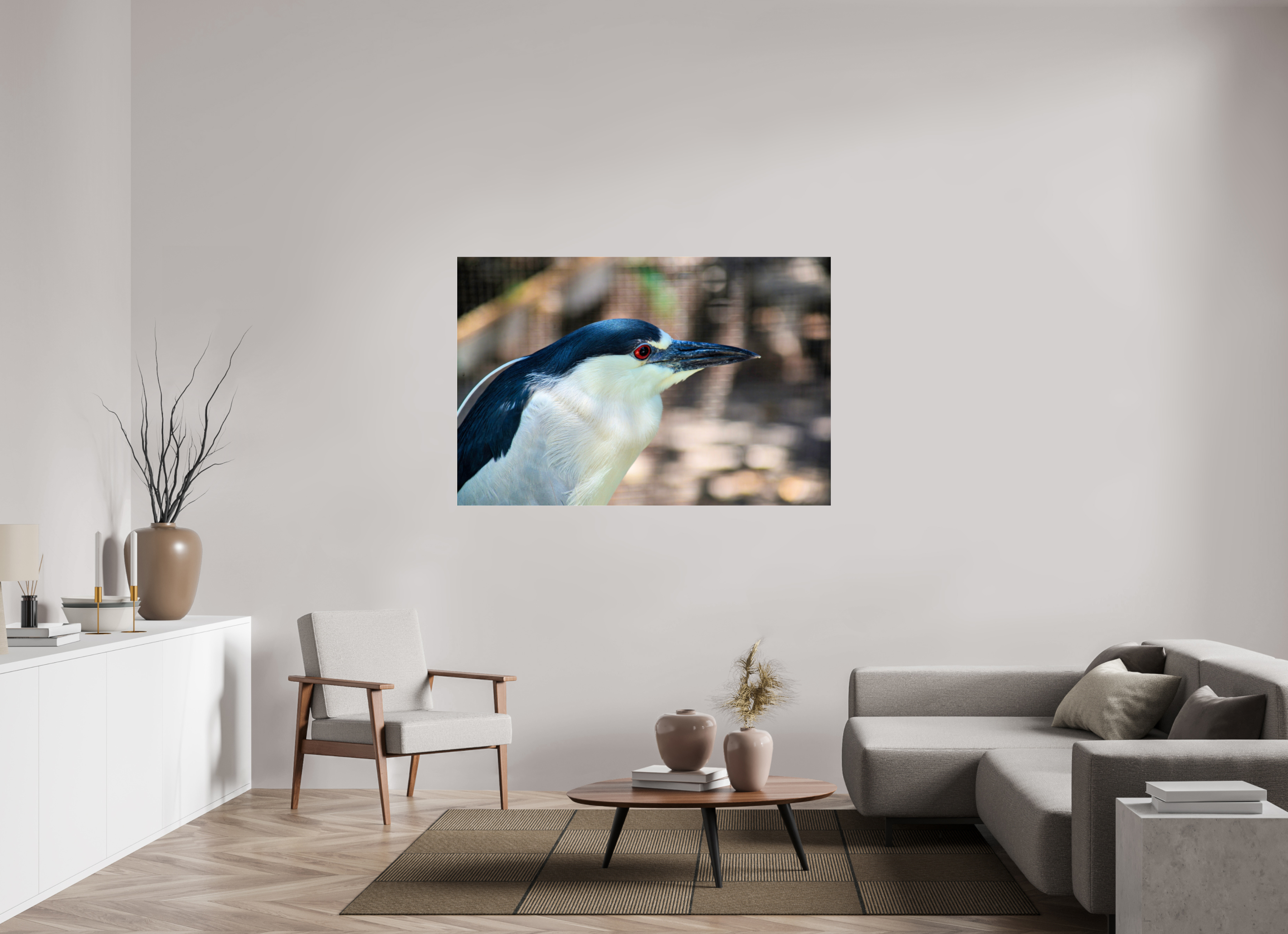 60 x 40″, Photo Print Fuji Crystal Archive Under Acrylic Glass Black-crowned Night Heron
