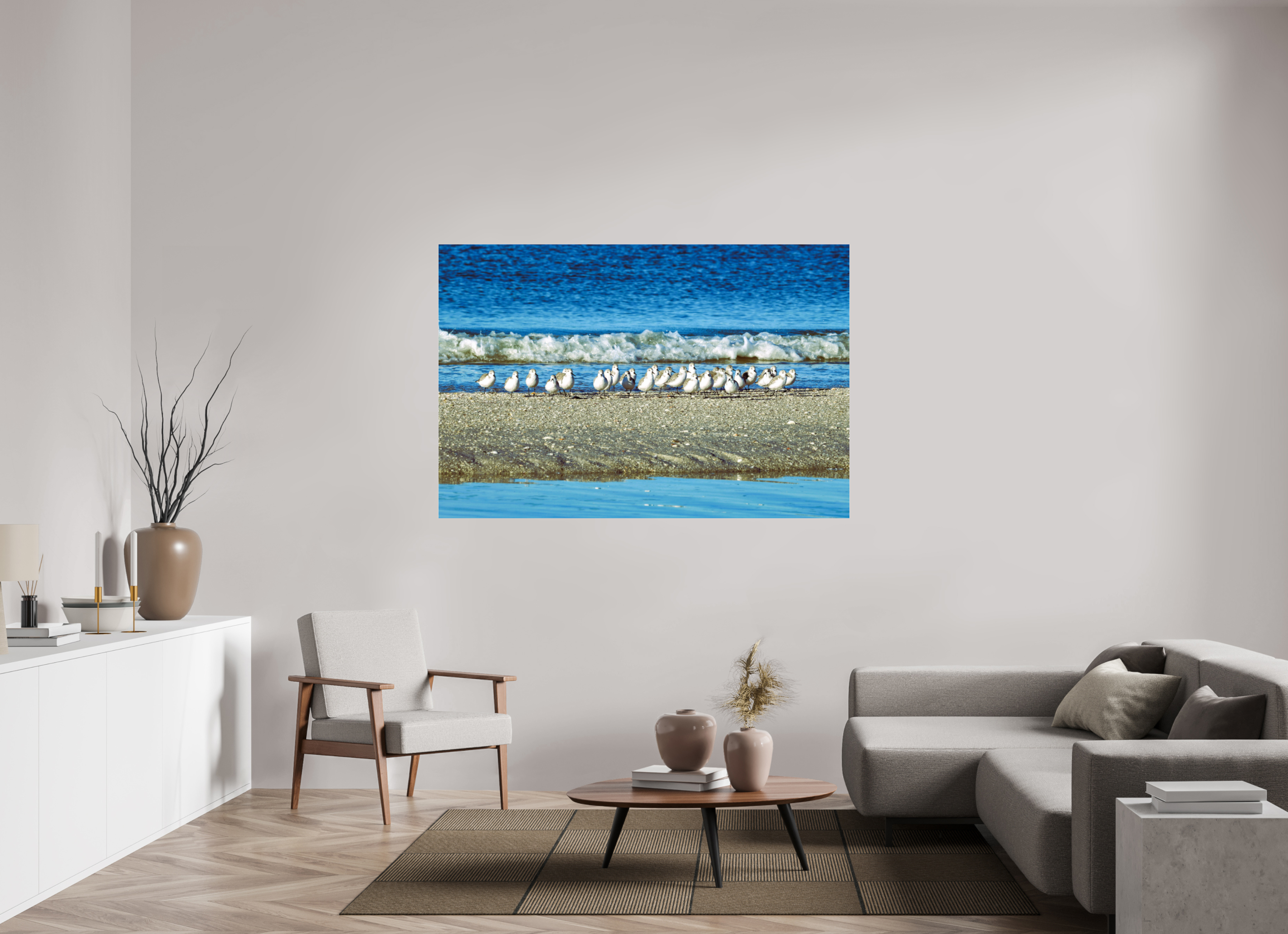 66 x 44″, Photo Print Fuji Crystal Archive Under Acrylic Glass Sanderlings on Standby