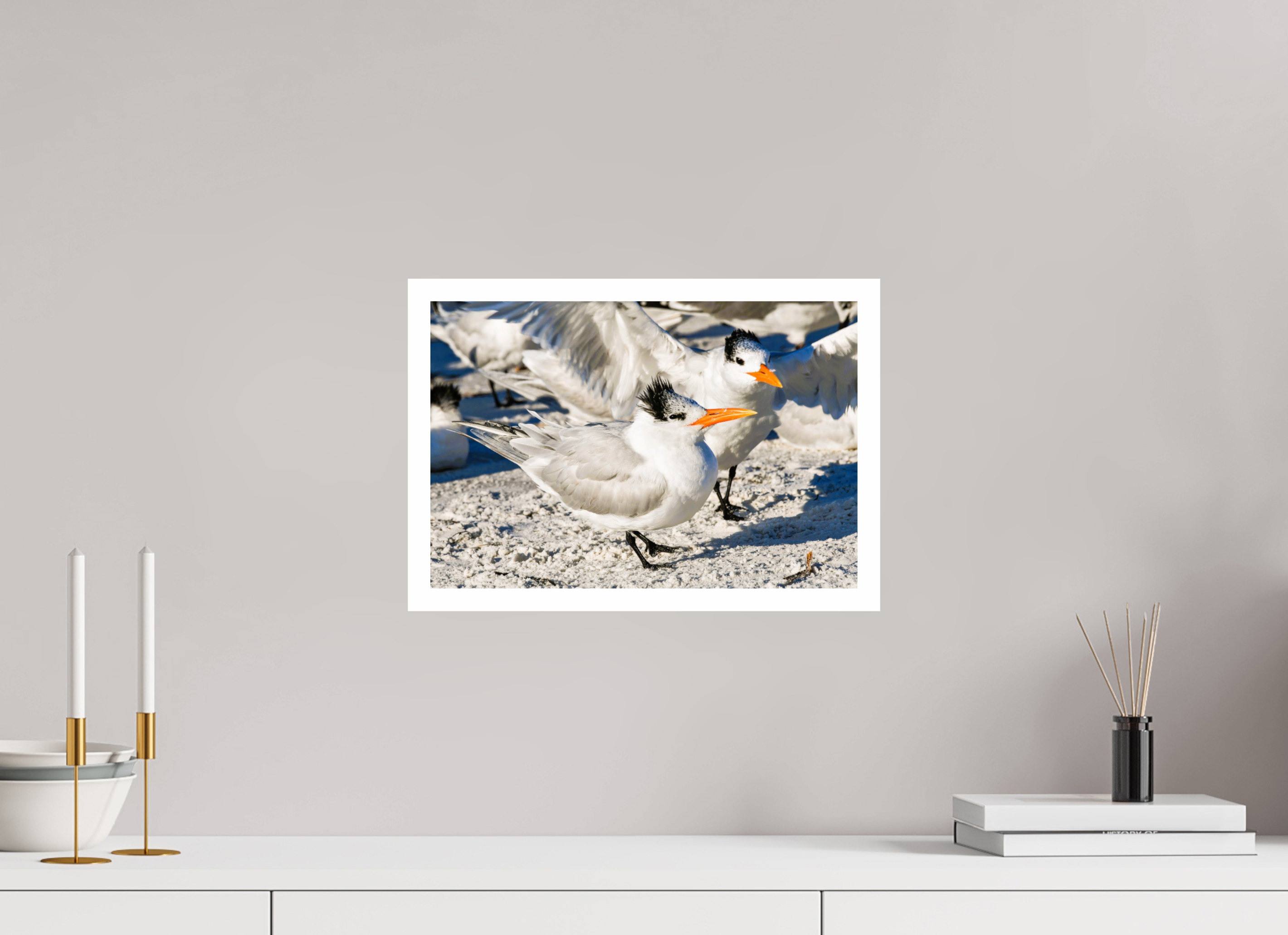 14.9 x 10″, Hahnemühle FineArt Pearl Print, .79" white border Coastal Royalty