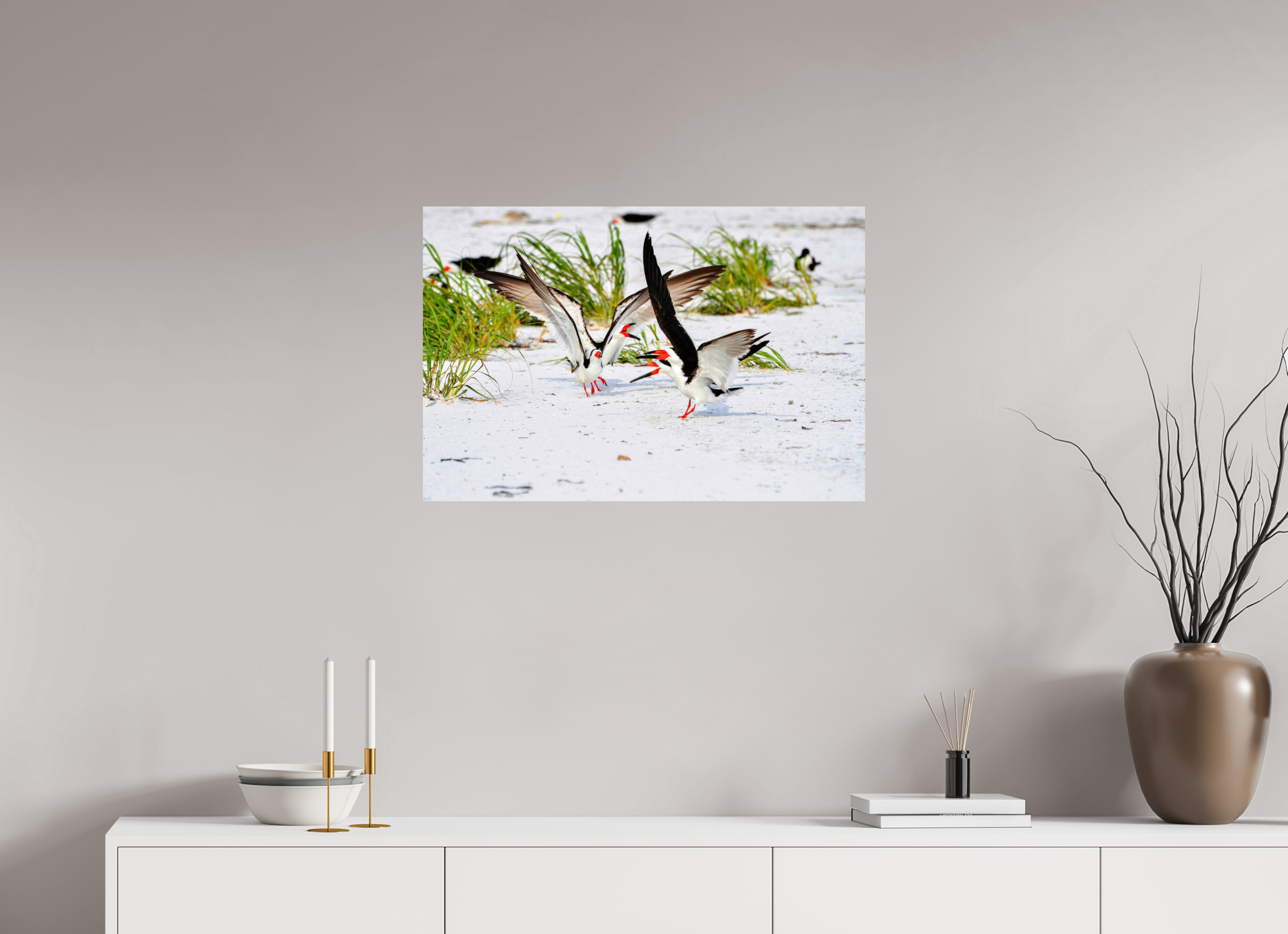 30 x 20″, Photo Print On Fuji Crystal DP II The Skimmer Dance