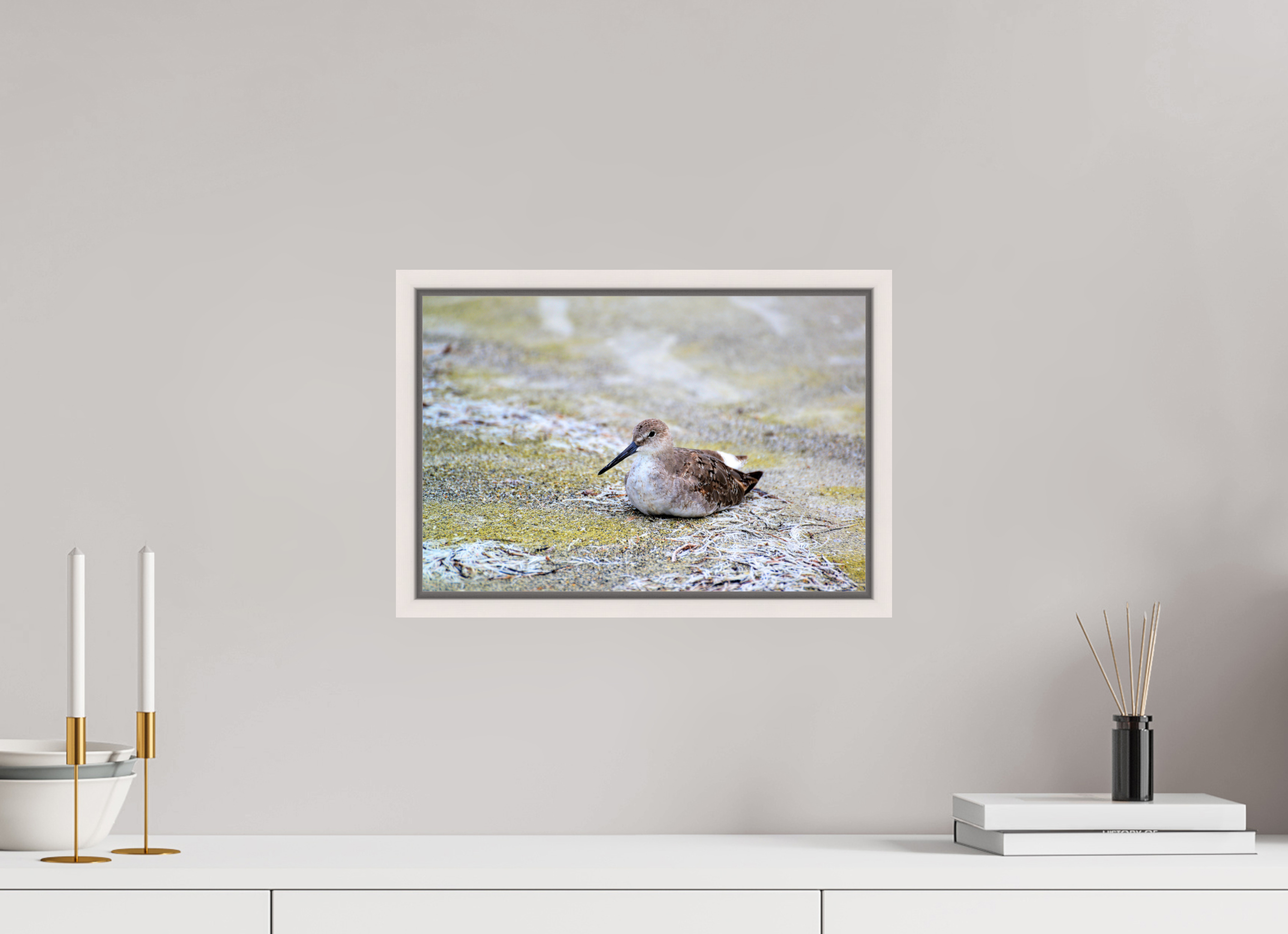 15 x 10″, Floater Frame, Basel 0.6", Maple White, Glossy Acrylic Glass The Resting Willet