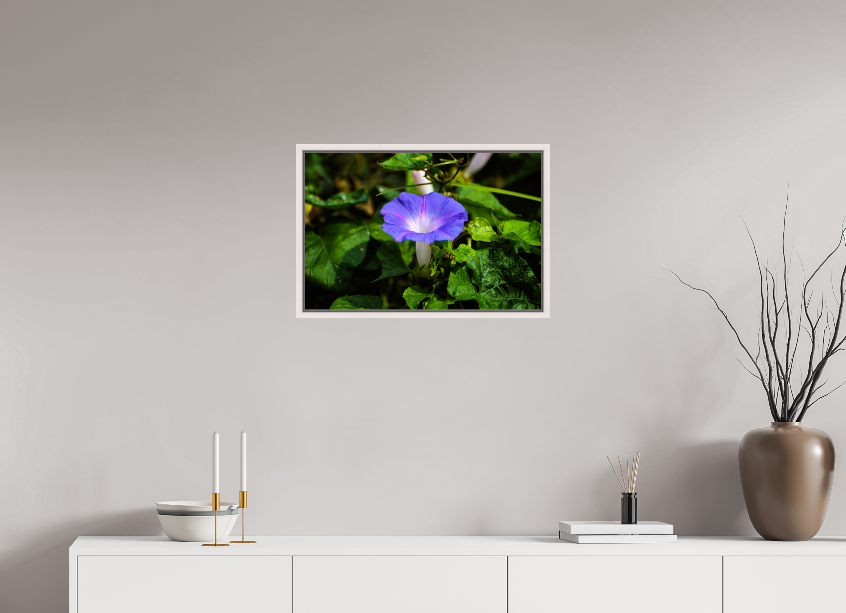 24 x 16″, Floater Frame, Basel 0.6", Maple White, Glossy Acrylic Glass Heavenly Blue Morning Glory