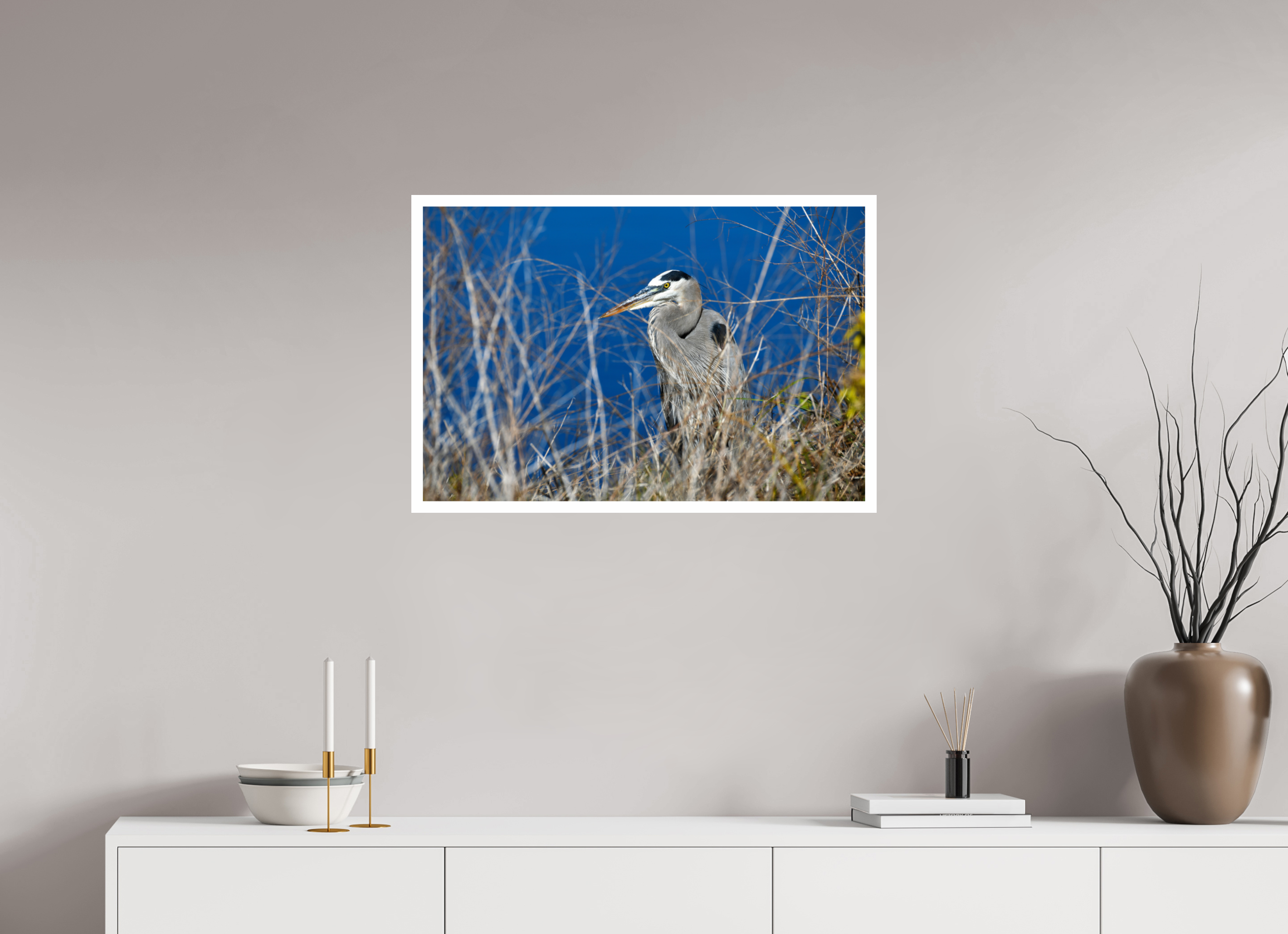 30 x 20″, Hahnemühle FineArt Pearl Print, .79" white border Hidden Majesty: Great Blue Heron