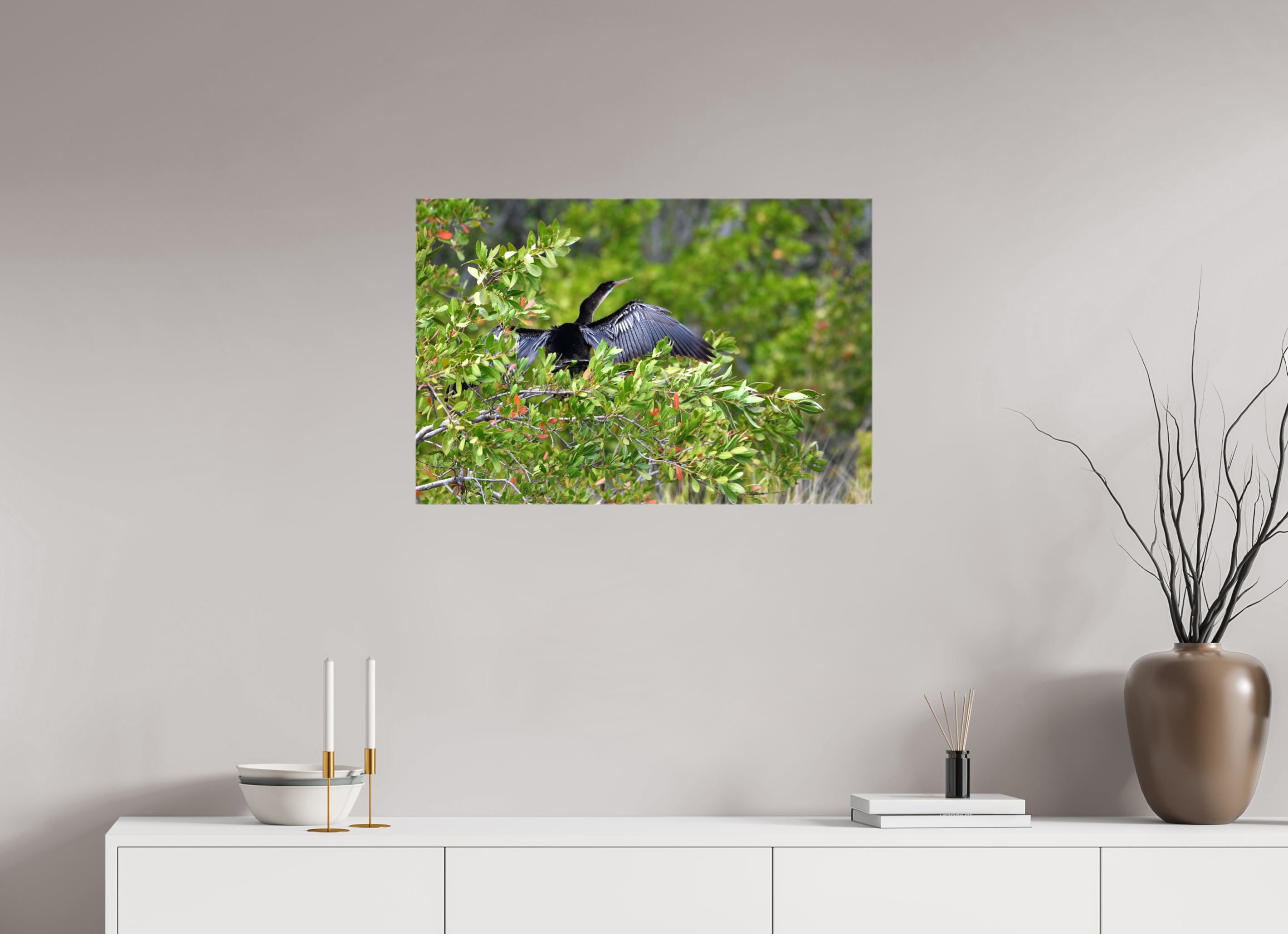 30 x 20″, Glossy Canvas on Stretcher Frame, 1,57" Wrapped Florida Anhinga Sunning